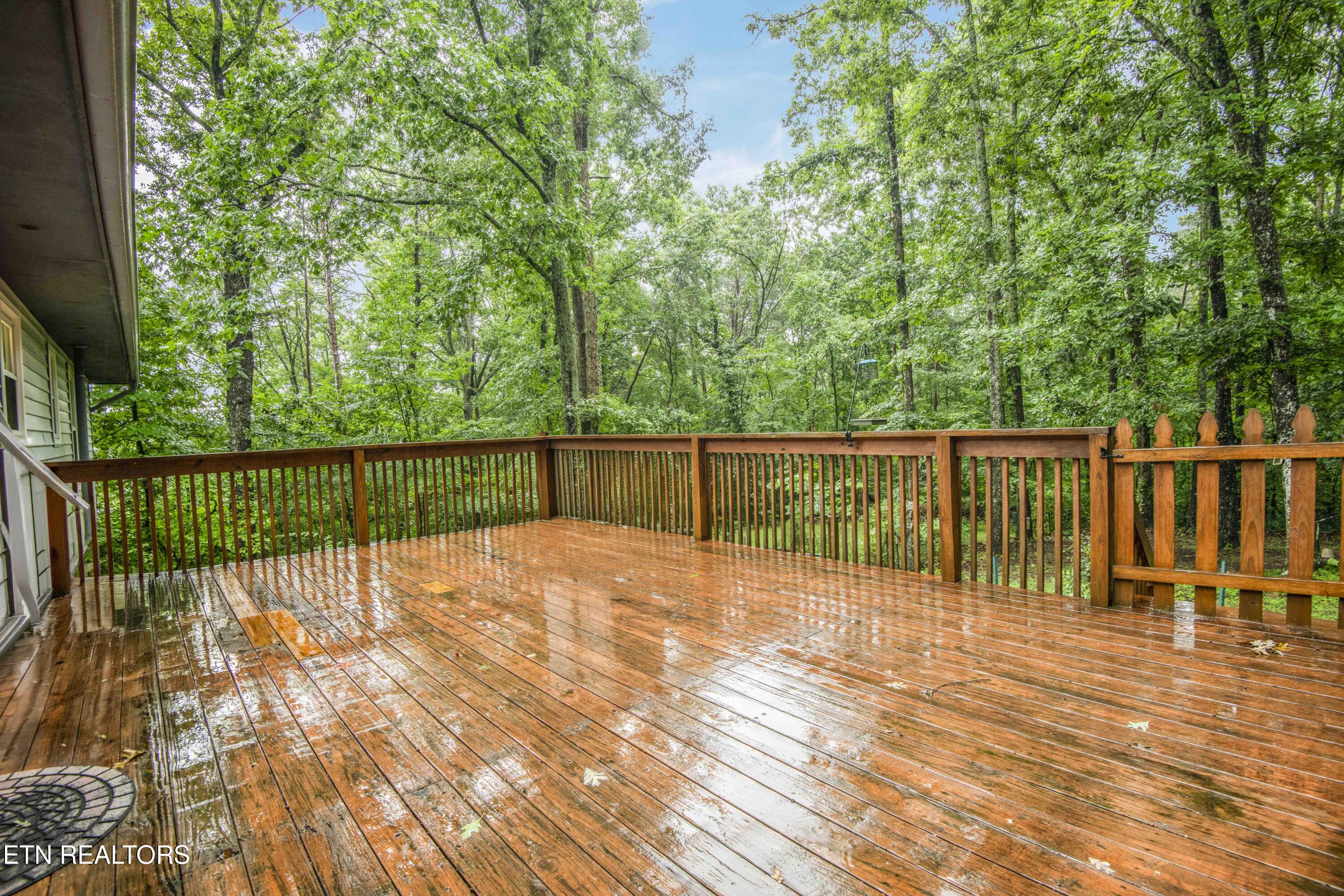 117 Skyline Lane Powell TN 37849