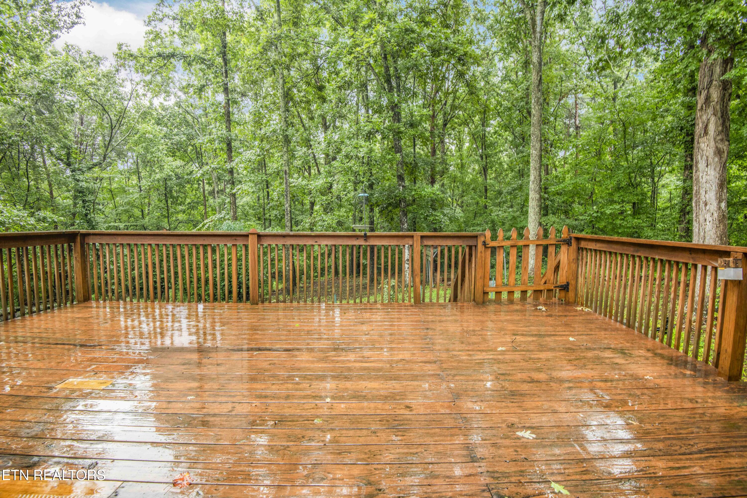 117 Skyline Lane Powell TN 37849