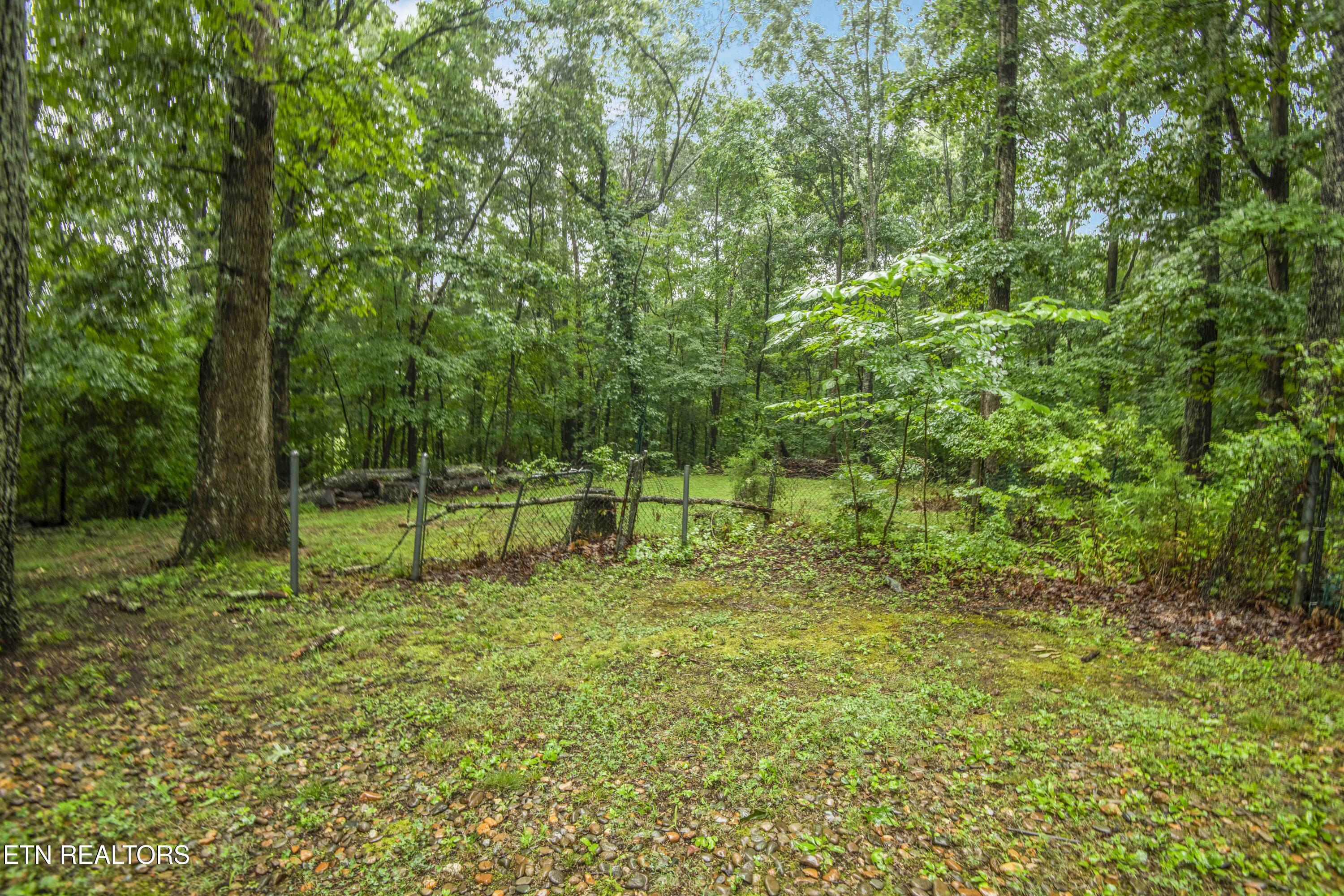 117 Skyline Lane Powell TN 37849
