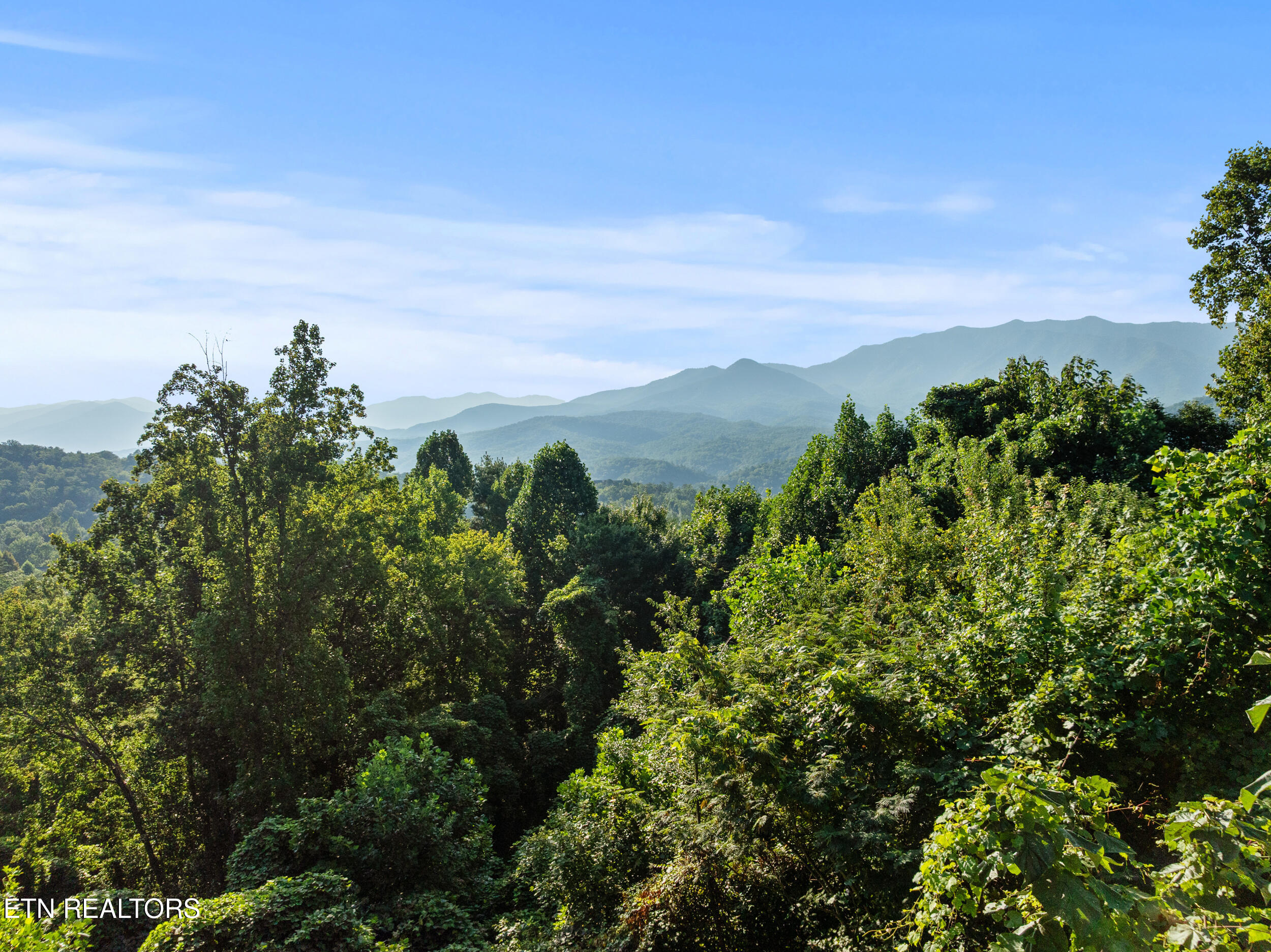 828 Beanstalk Road Gatlinburg TN 37738