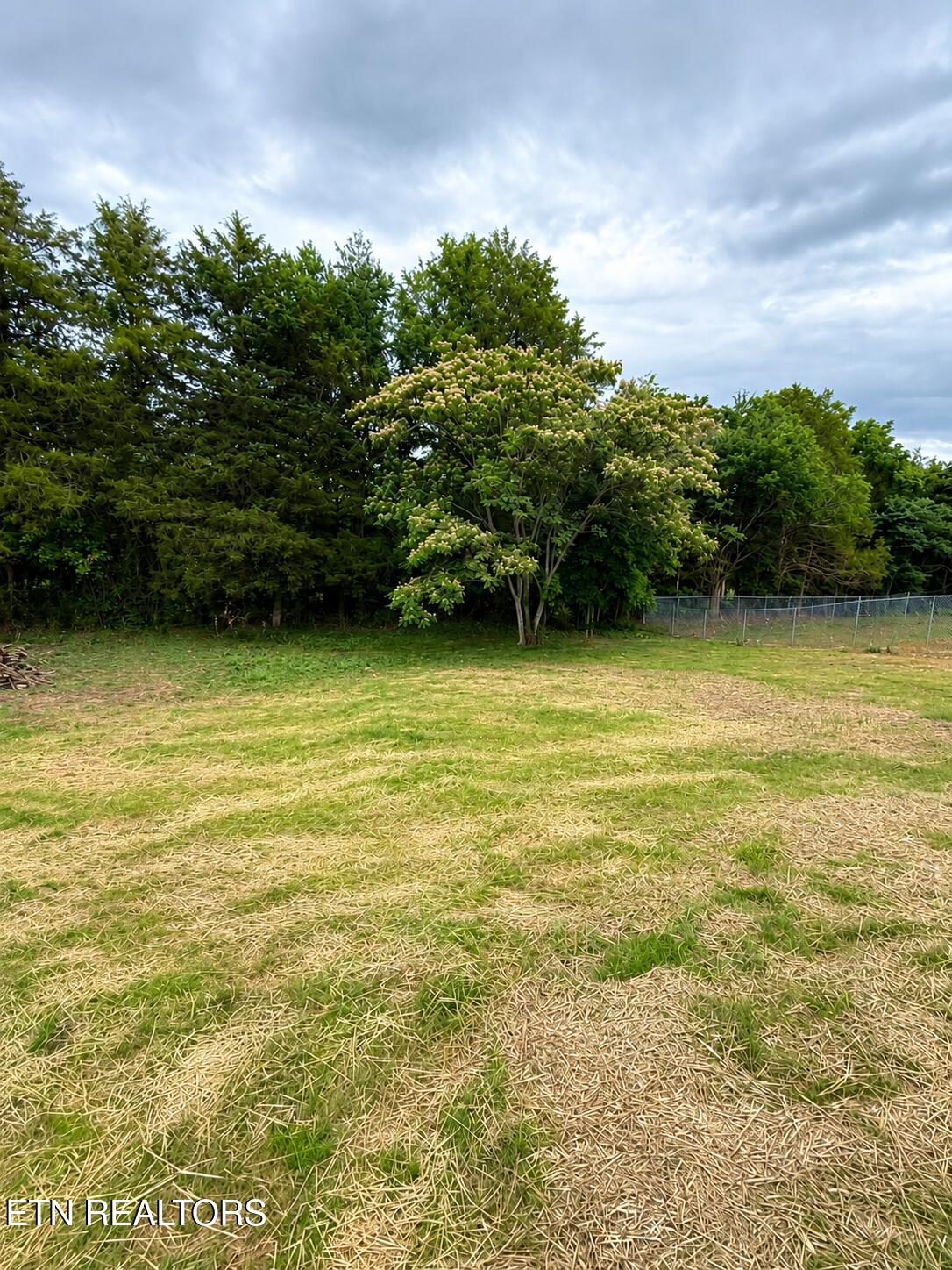 186 Granby Lane Harrogate TN 37752