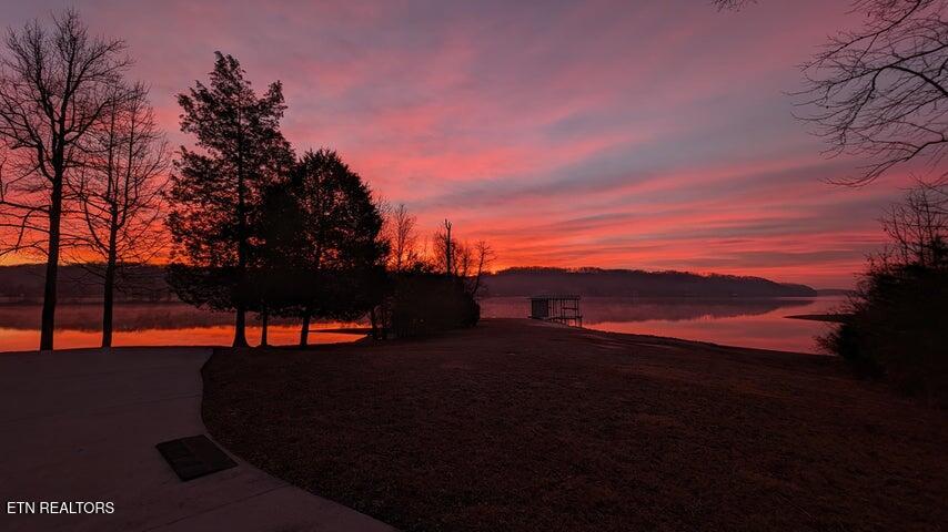 199 Piney Bay Lane Spring City TN 37381