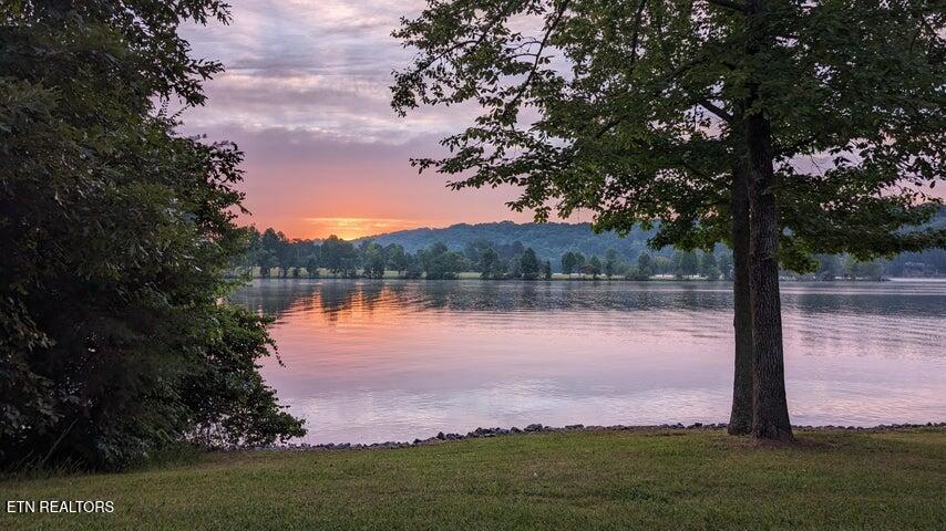 199 Piney Bay Lane Spring City TN 37381