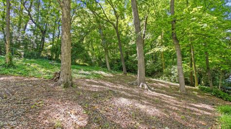 1313 S Chilhowee Drive Knoxville TN 37914