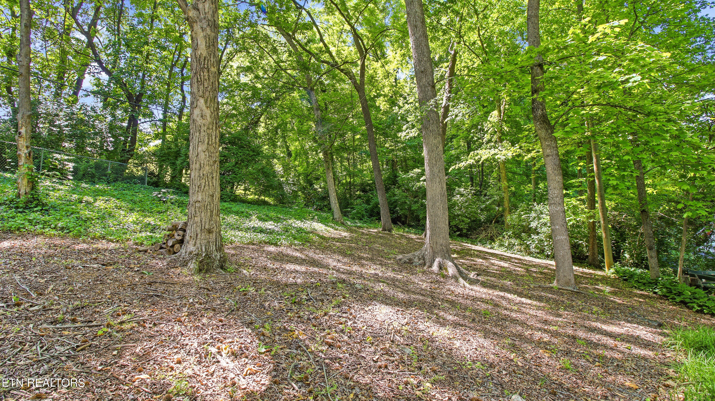 1313 S Chilhowee Drive Knoxville TN 37914