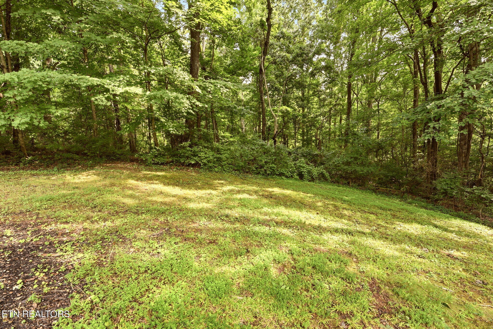 360 East Drive Oak Ridge TN 37830