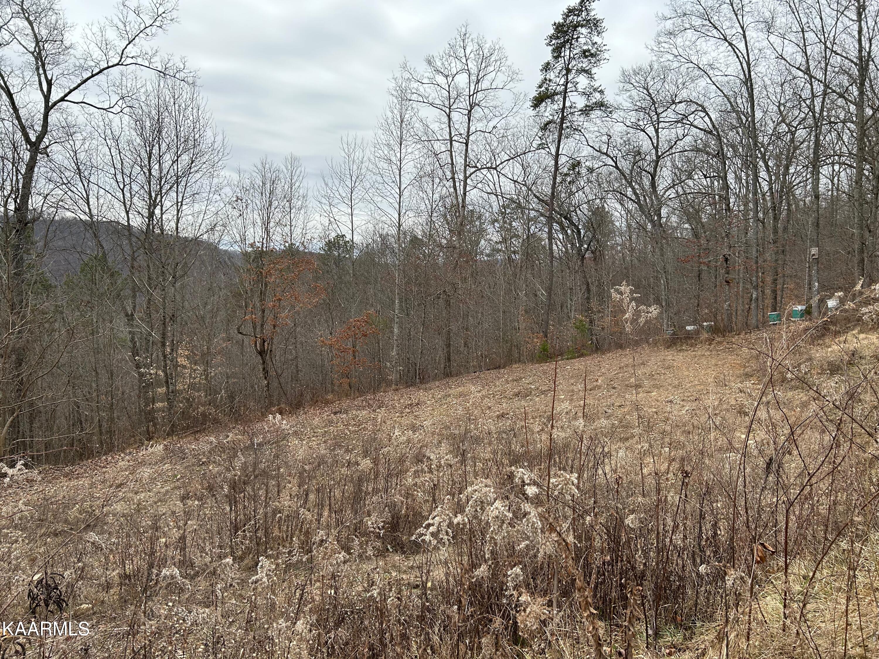 5271 Vardy Blackwater Road Sneedville TN 37869