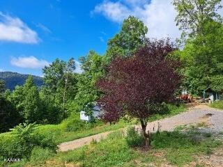 5271 Vardy Blackwater Road Sneedville TN 37869
