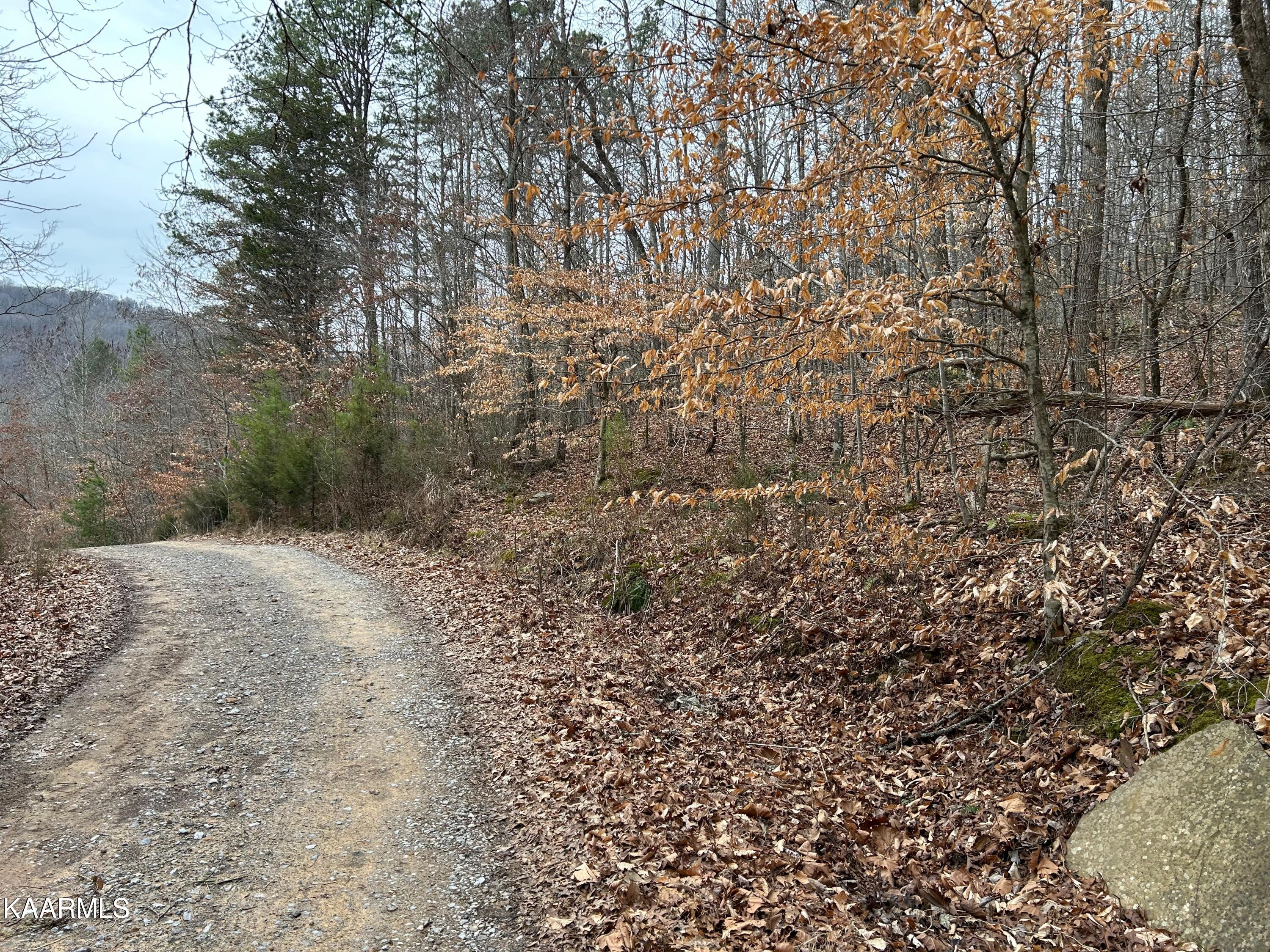 5271 Vardy Blackwater Road Sneedville TN 37869