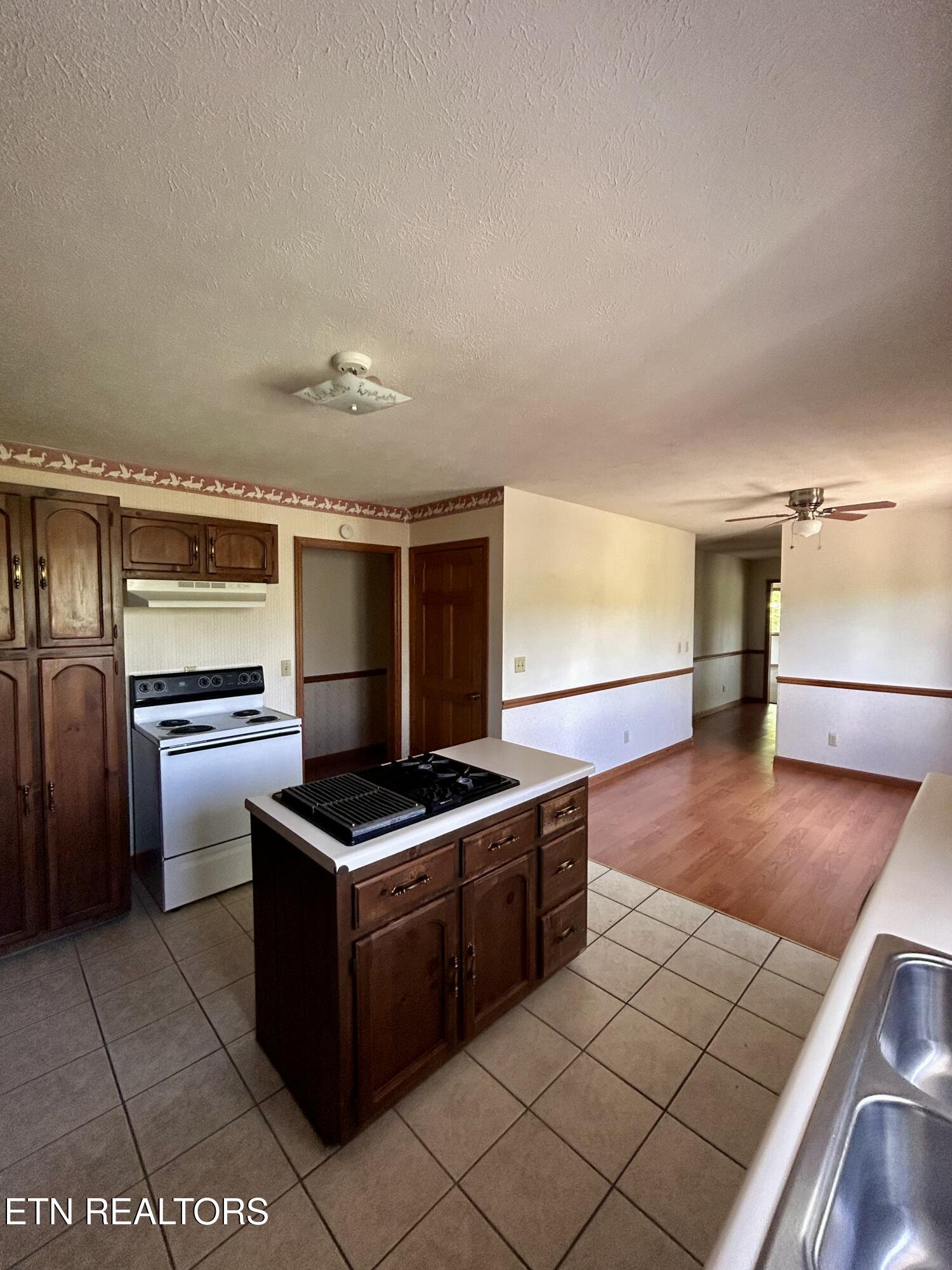 690 Stevens Street Rogersville TN 37857