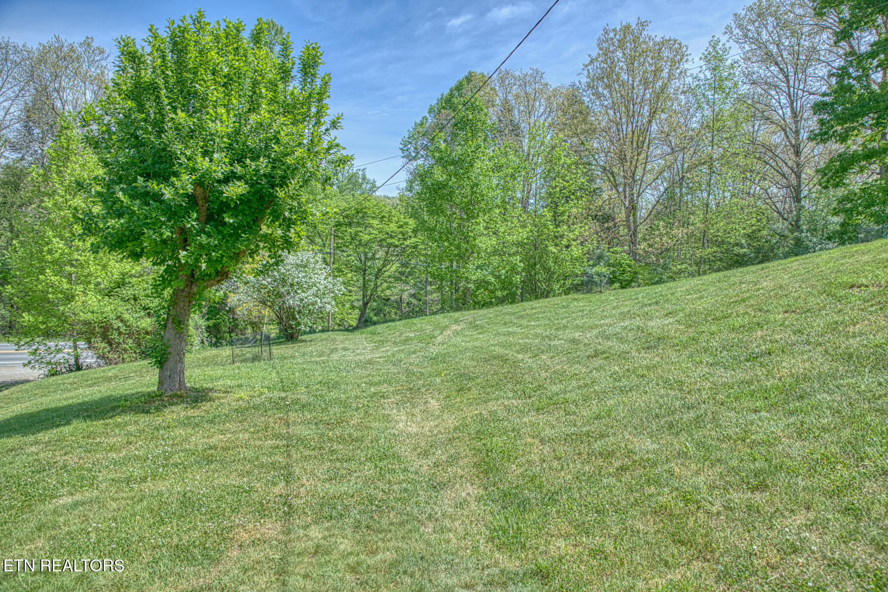 2952 Hanging Limb Highway Monterey TN 38574