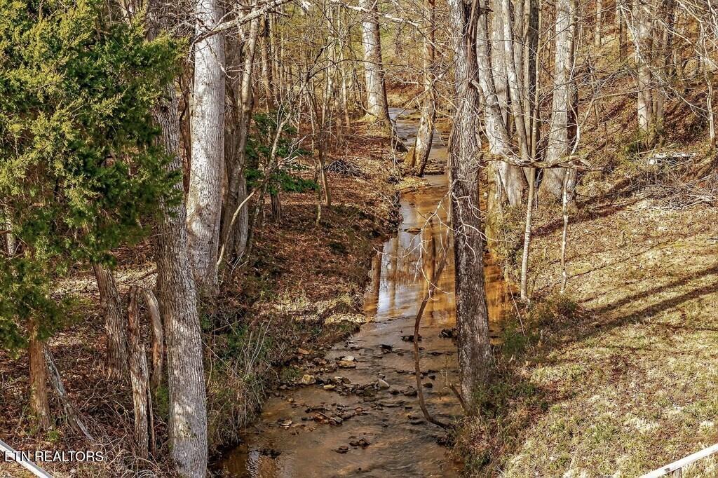 1603 Coon Hunt Road Baxter TN 38544