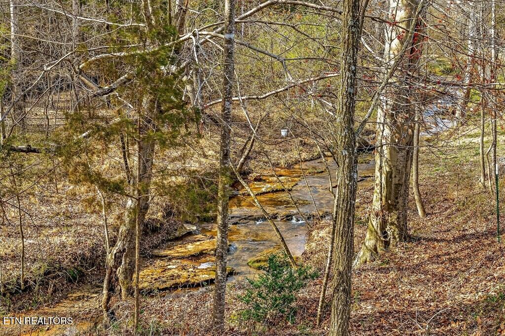 1603 Coon Hunt Road Baxter TN 38544