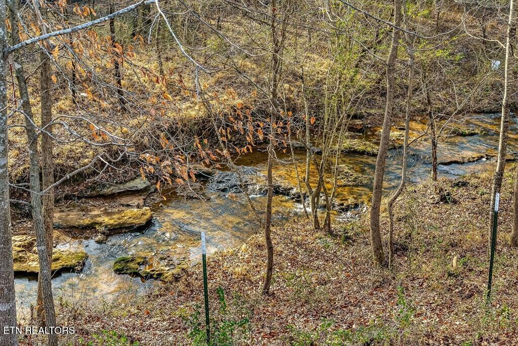 1603 Coon Hunt Road Baxter TN 38544