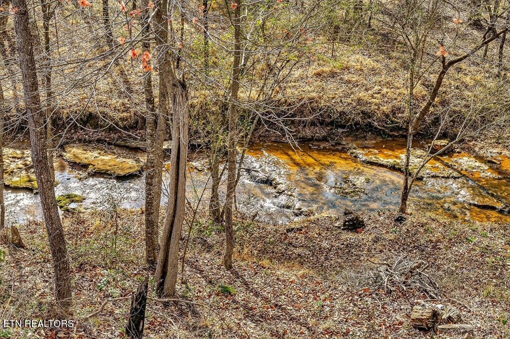 1603 Coon Hunt Road Baxter TN 38544