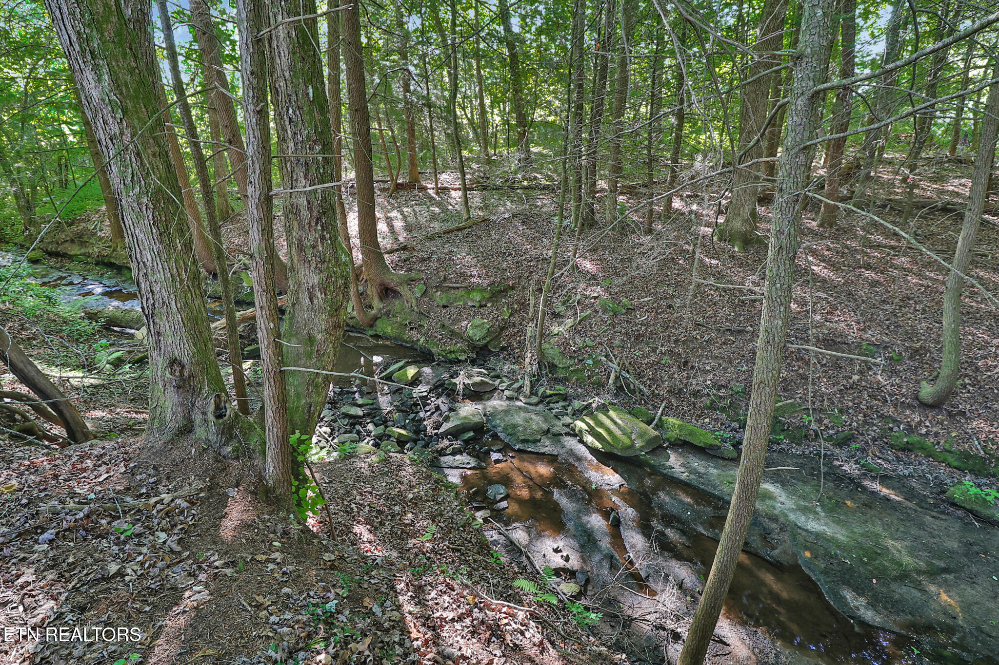 1452 Model Farm Road Jamestown TN 38556