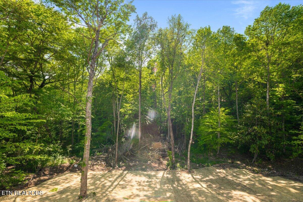 208 Vintage Lane Clinton TN 37716