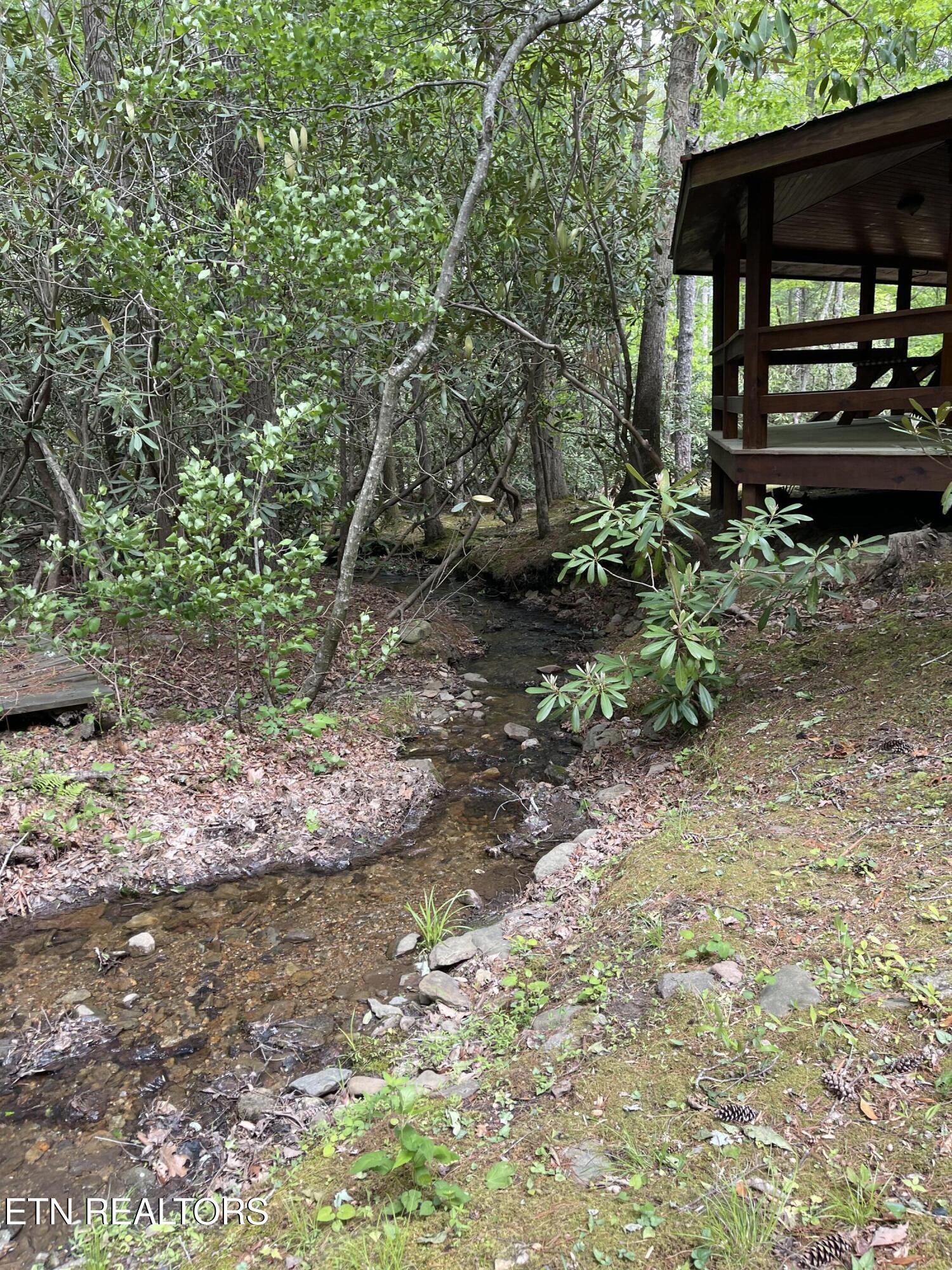 113 Rivendell Lane Tellico Plains TN 37385