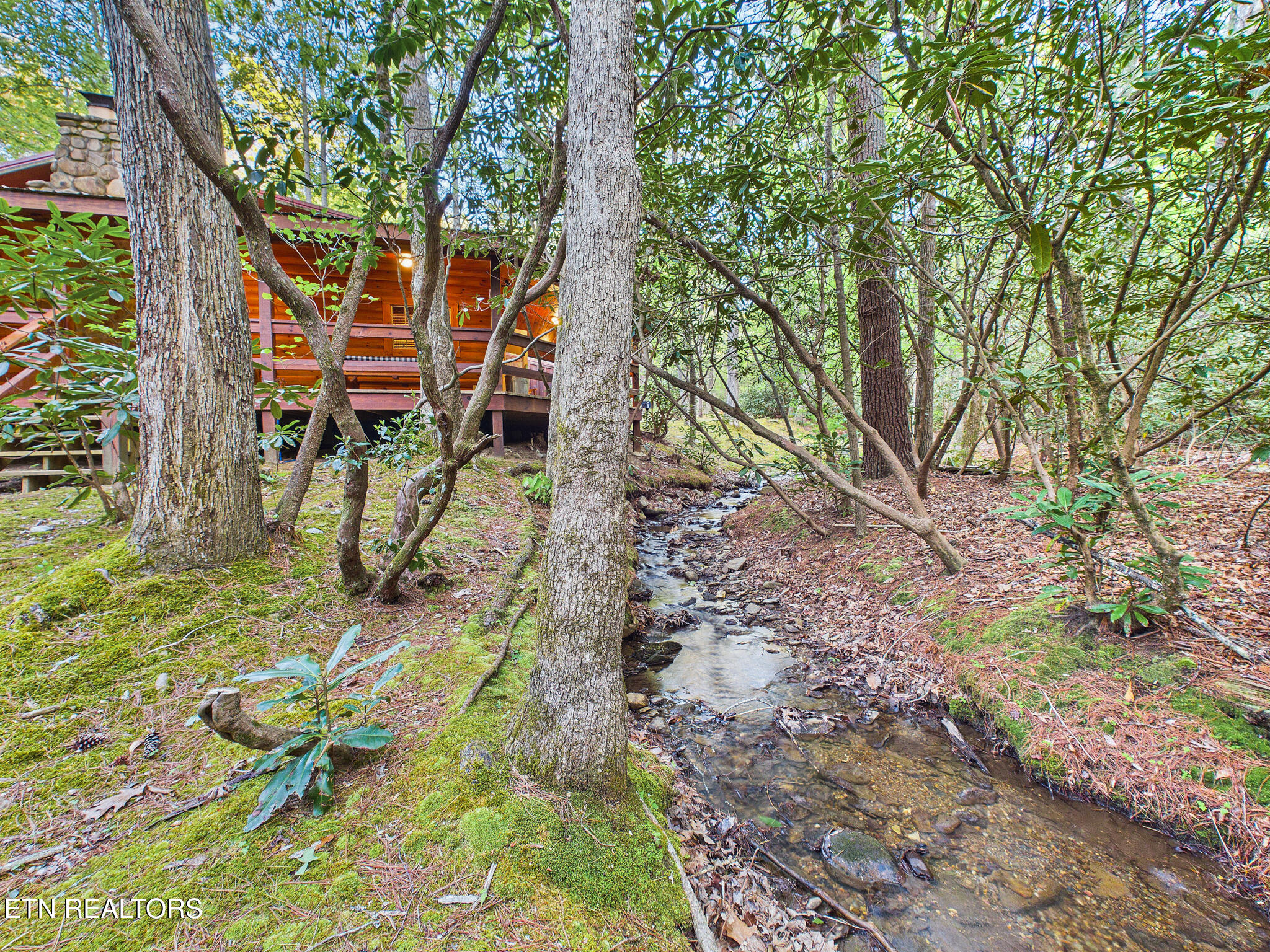 113 Rivendell Lane Tellico Plains TN 37385