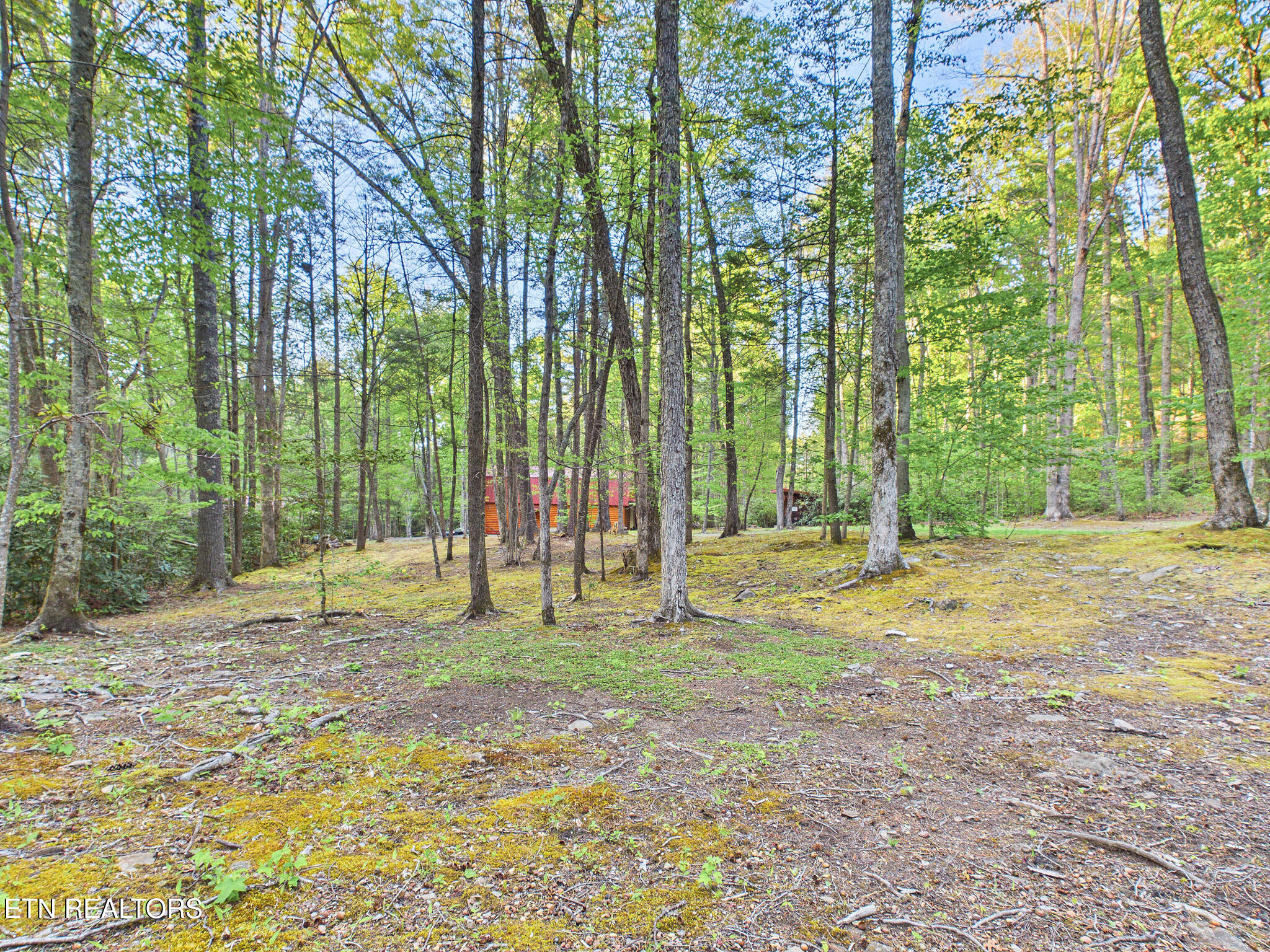 113 Rivendell Lane Tellico Plains TN 37385