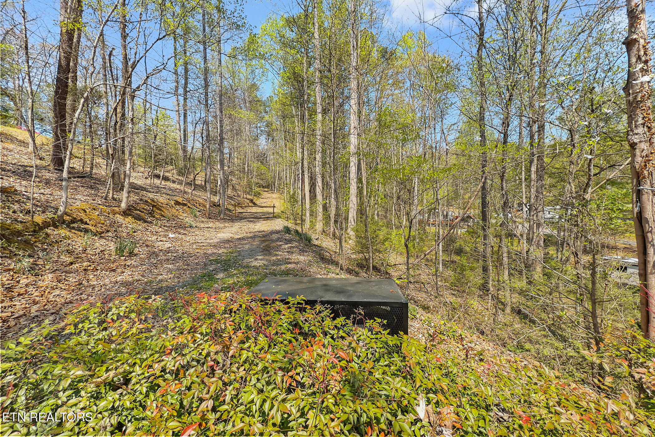 3123 Happy Hollow Road Sevierville TN 37862