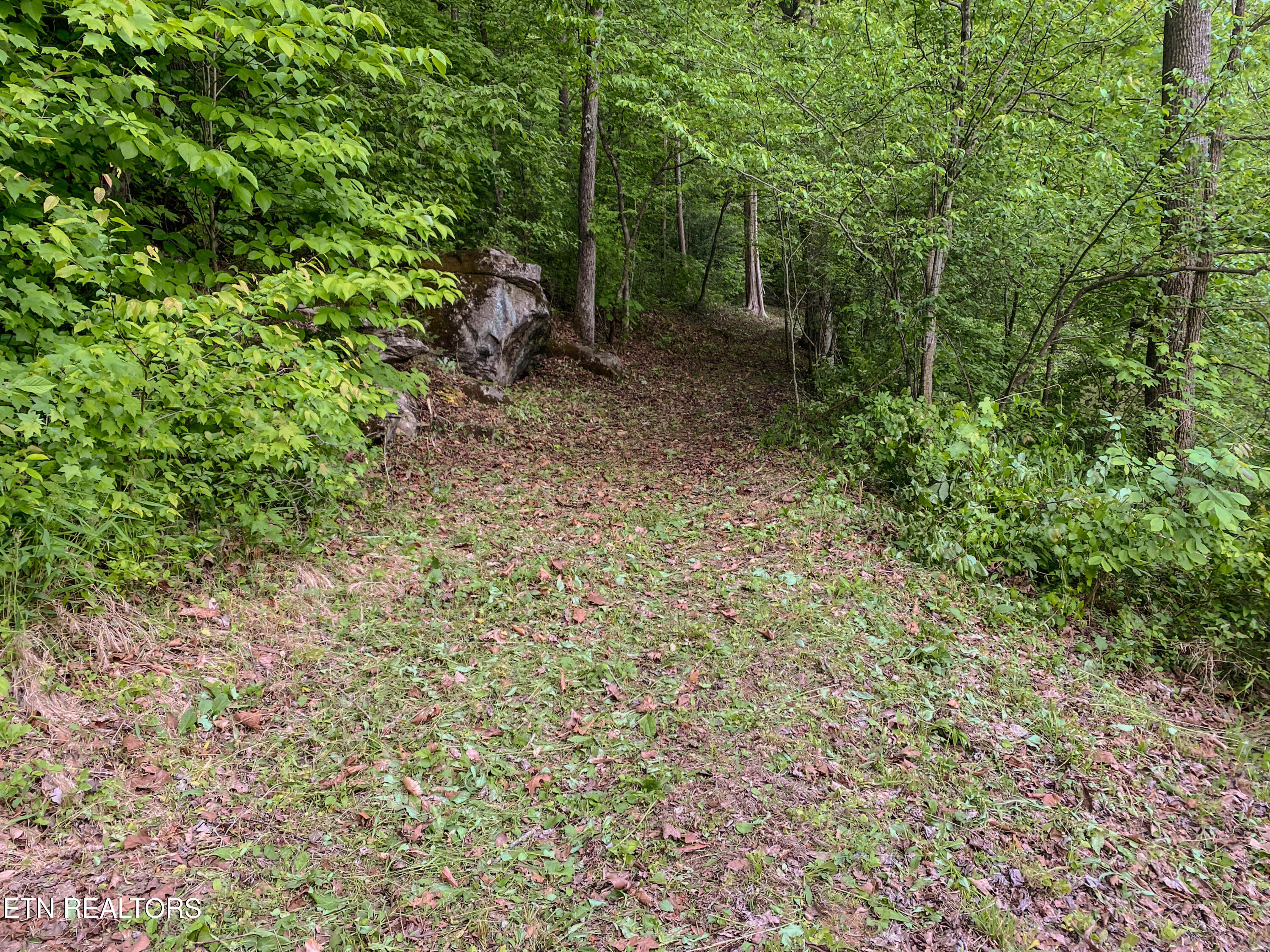 639 S Arch Rock Drive Sevierville TN 37876