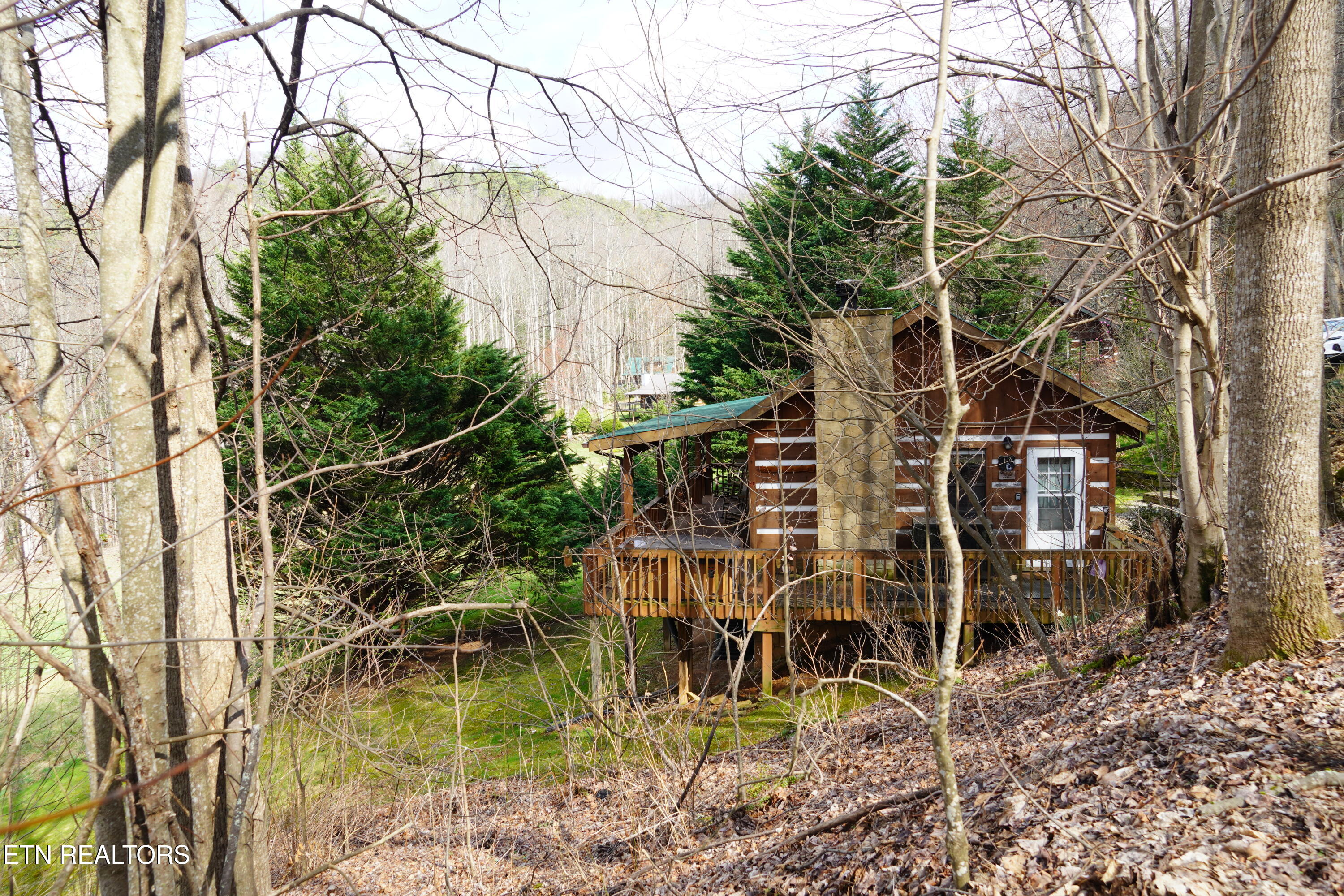994 Emilyville Way Cosby TN 37722