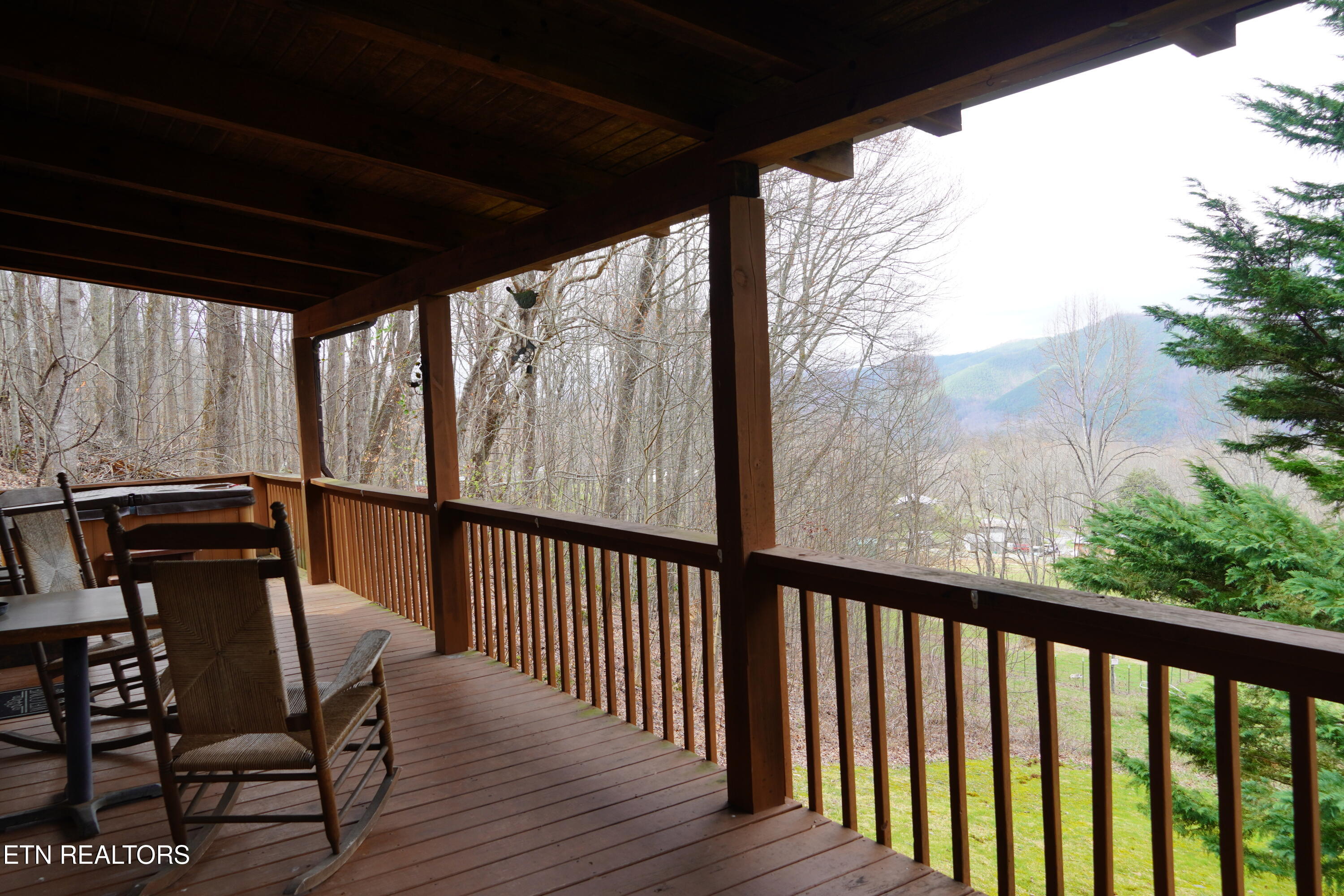 994 Emilyville Way Cosby TN 37722