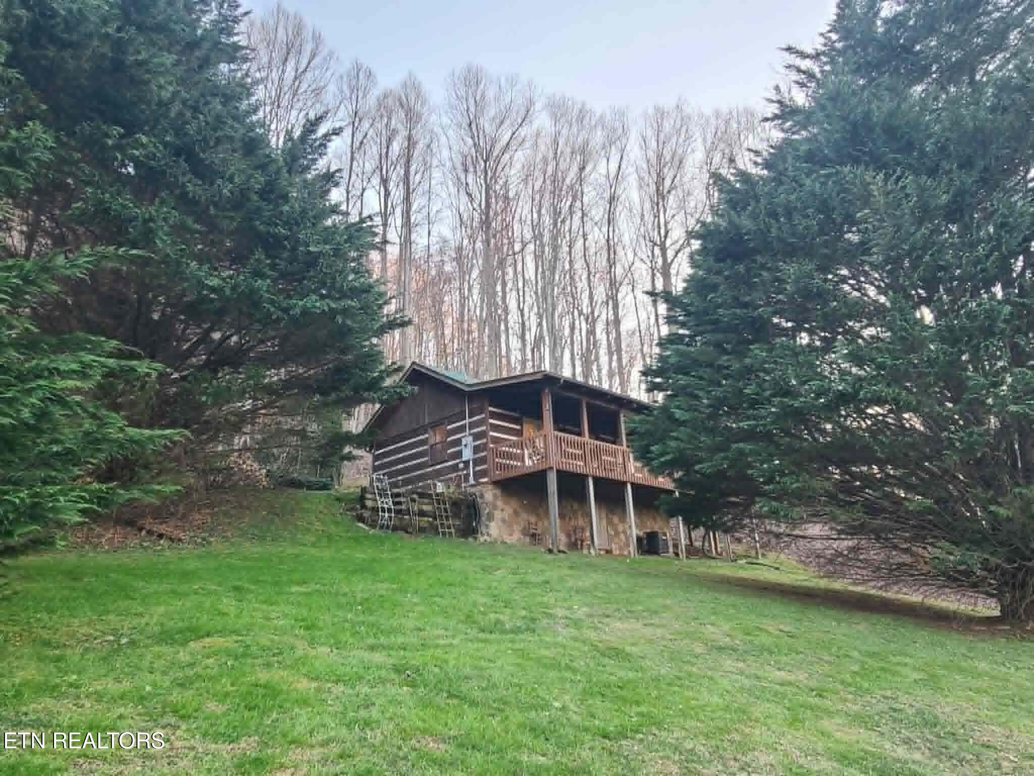 994 Emilyville Way Cosby TN 37722