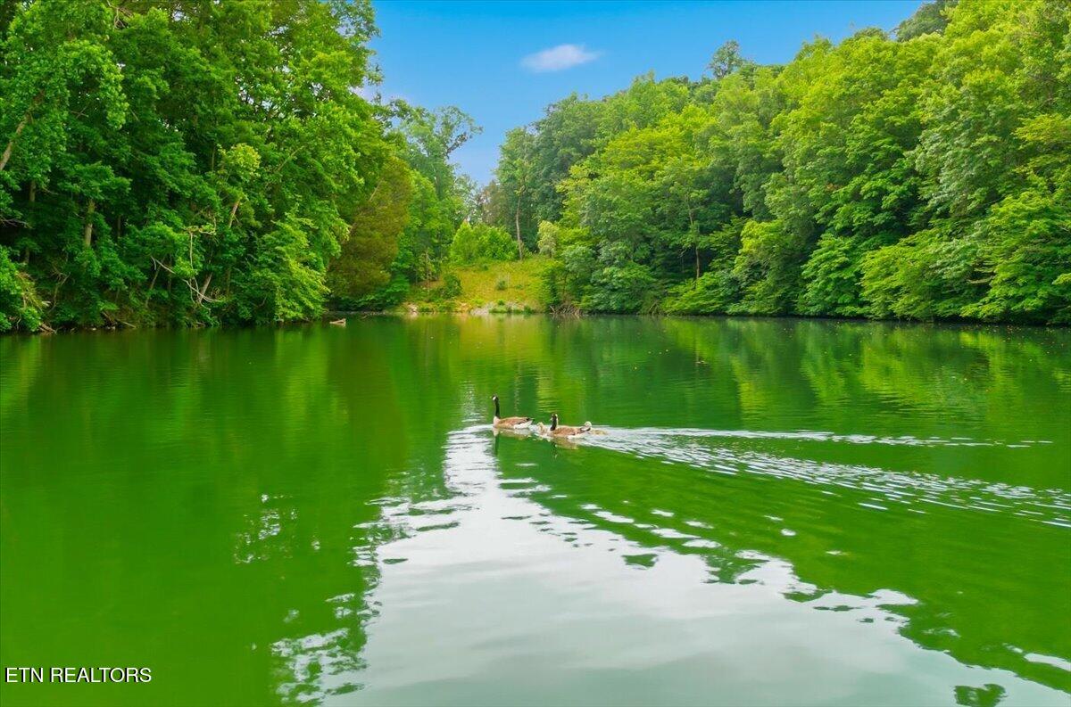 2229/2233 Everett Road Knoxville TN 37932