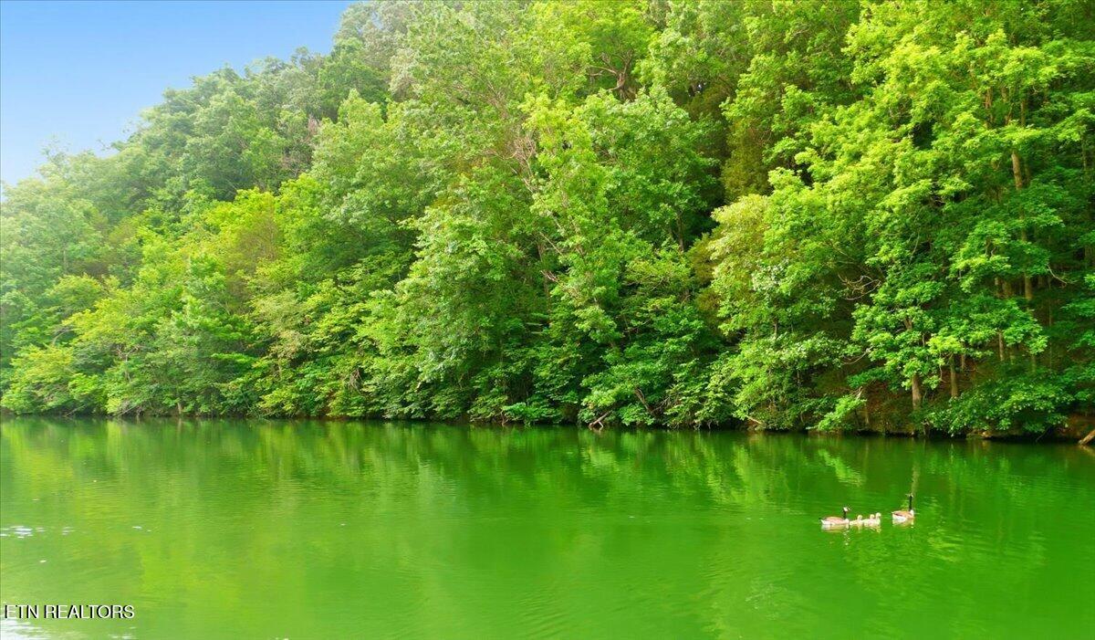 2229/2233 Everett Road Knoxville TN 37932