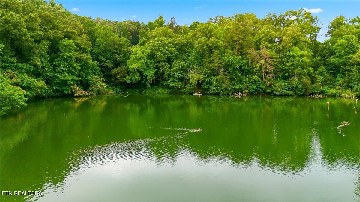 2229/2233 Everett Road Knoxville TN 37932