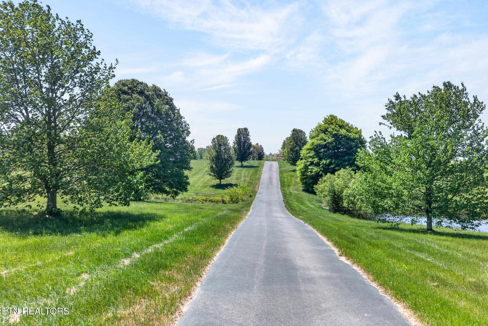 135 Austin Lane Deer Lodge TN 37726