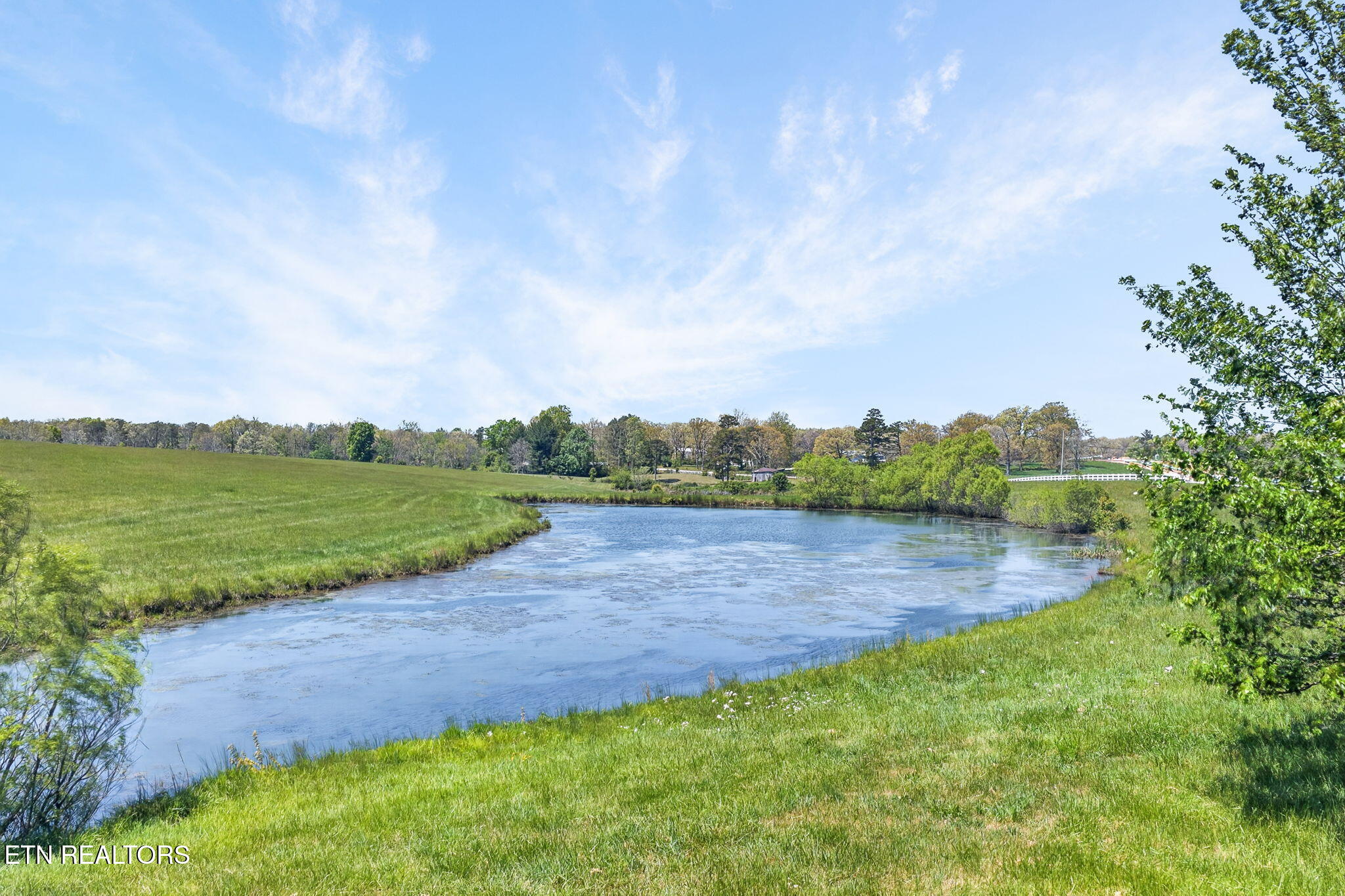 135 Austin Lane Deer Lodge TN 37726