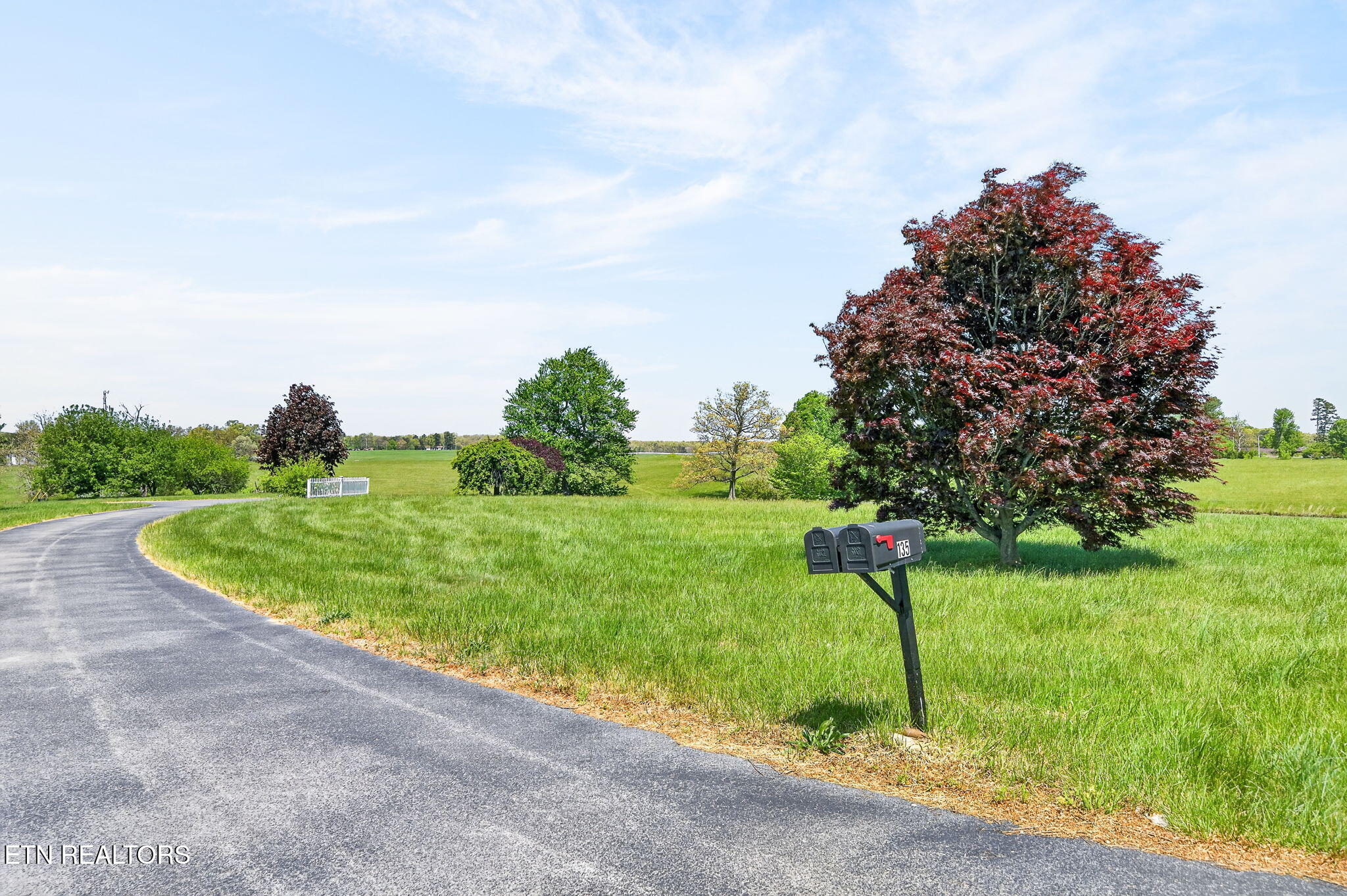 135 Austin Lane Deer Lodge TN 37726