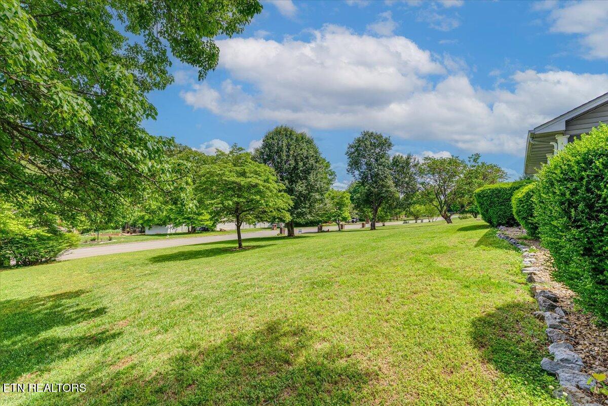 817 Pioneer Drive Seymour TN 37865