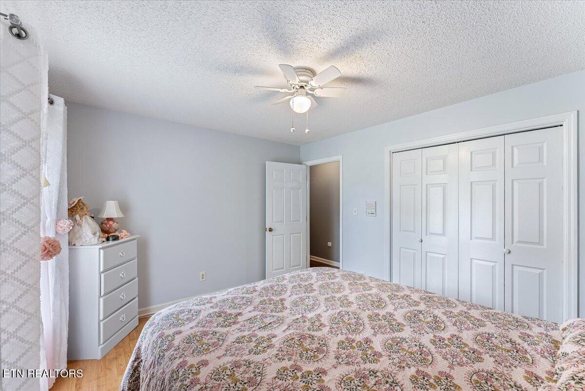 817 Pioneer Drive Seymour TN 37865