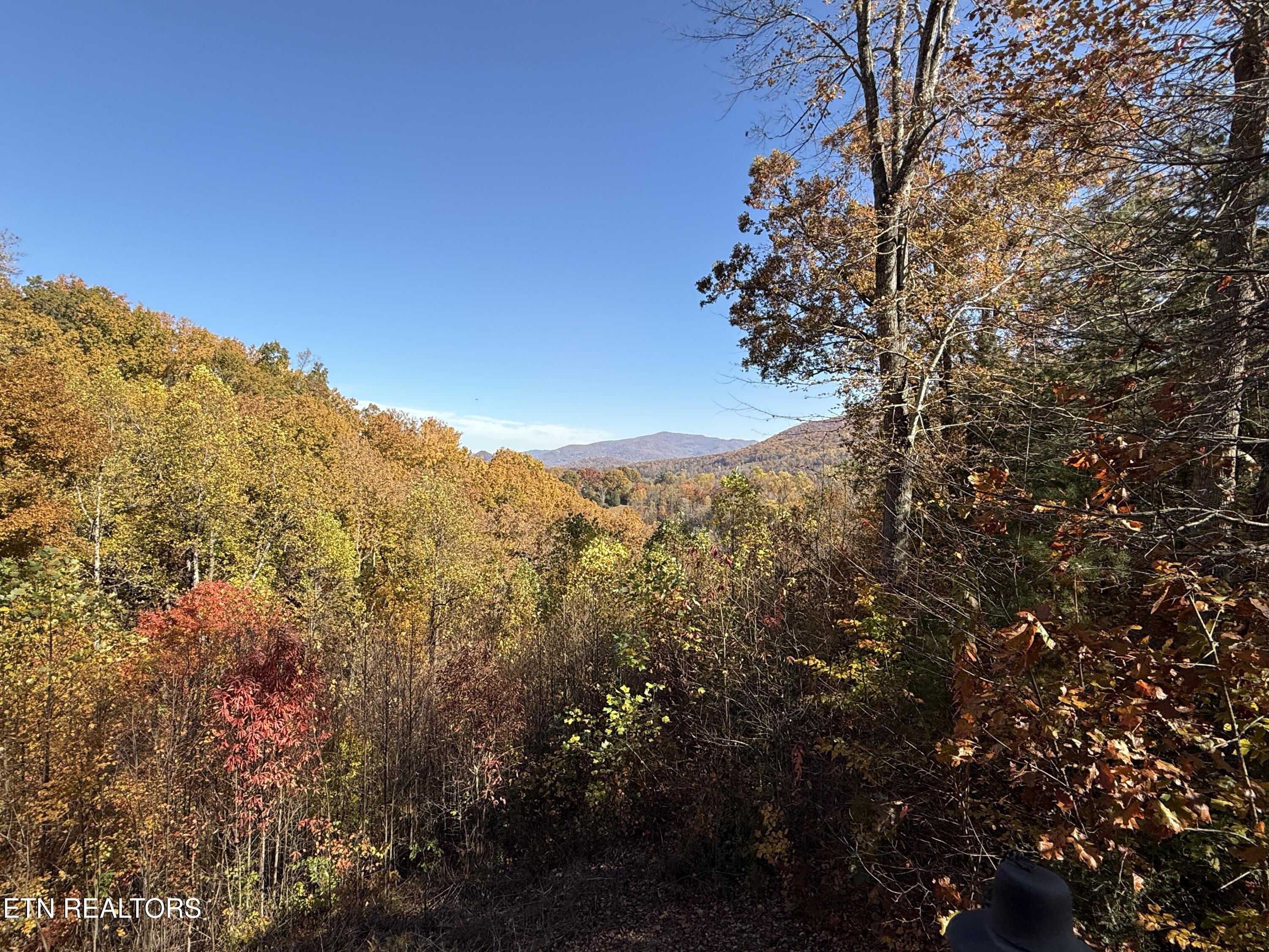414 Gold Road Cosby TN 37722
