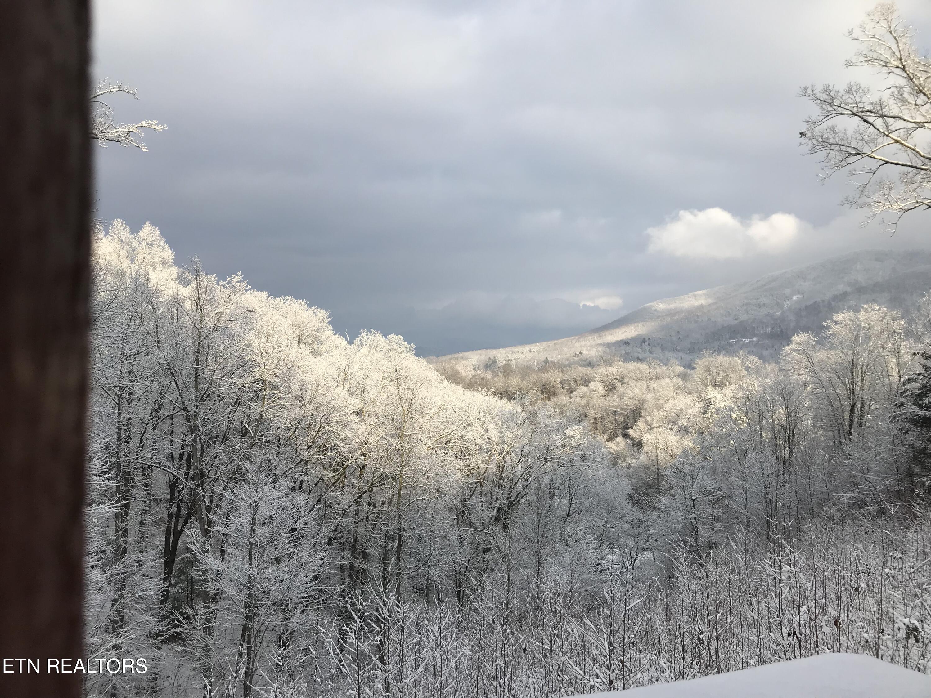 414 Gold Road Cosby TN 37722
