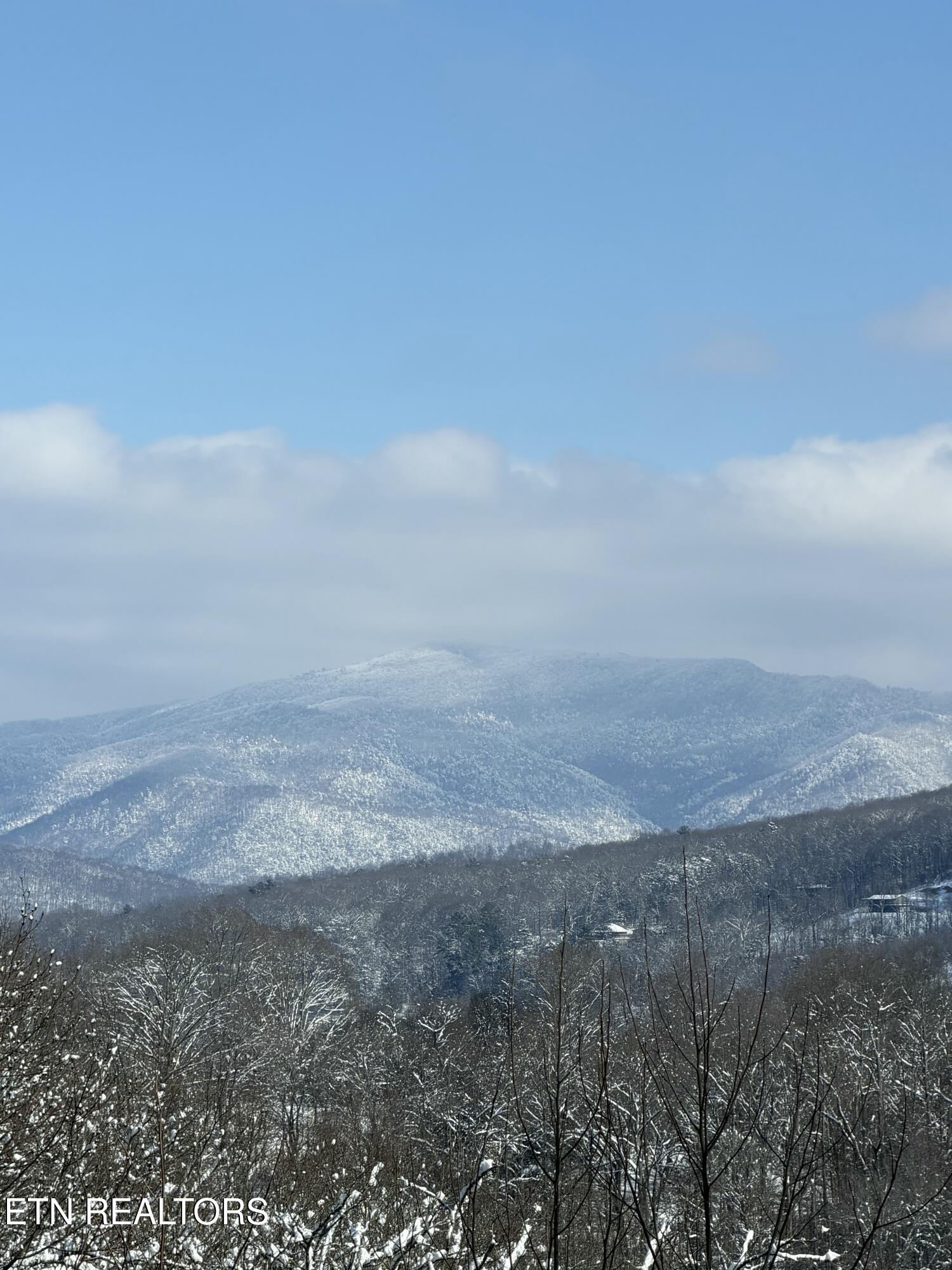 414 Gold Road Cosby TN 37722