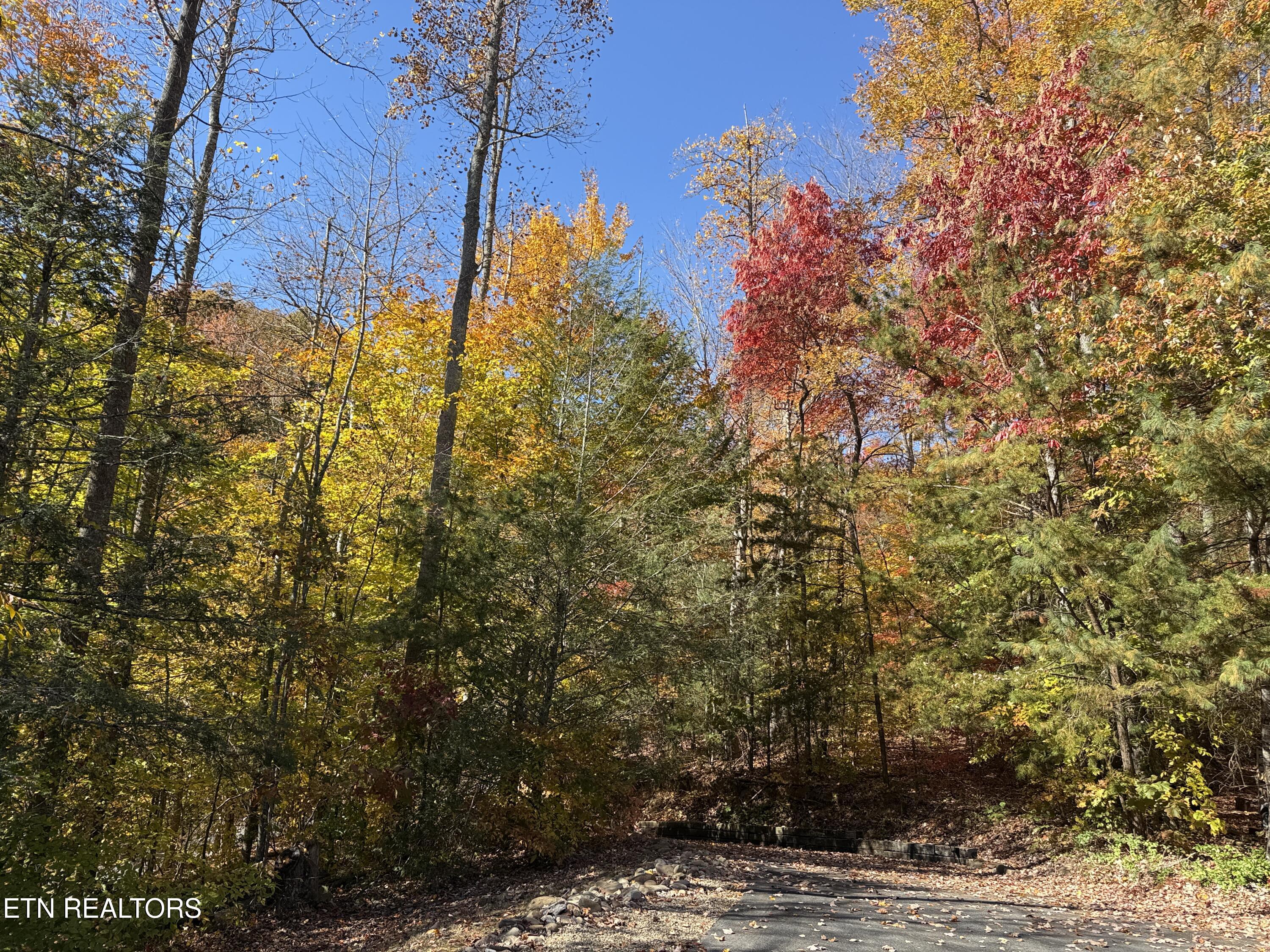 414 Gold Road Cosby TN 37722