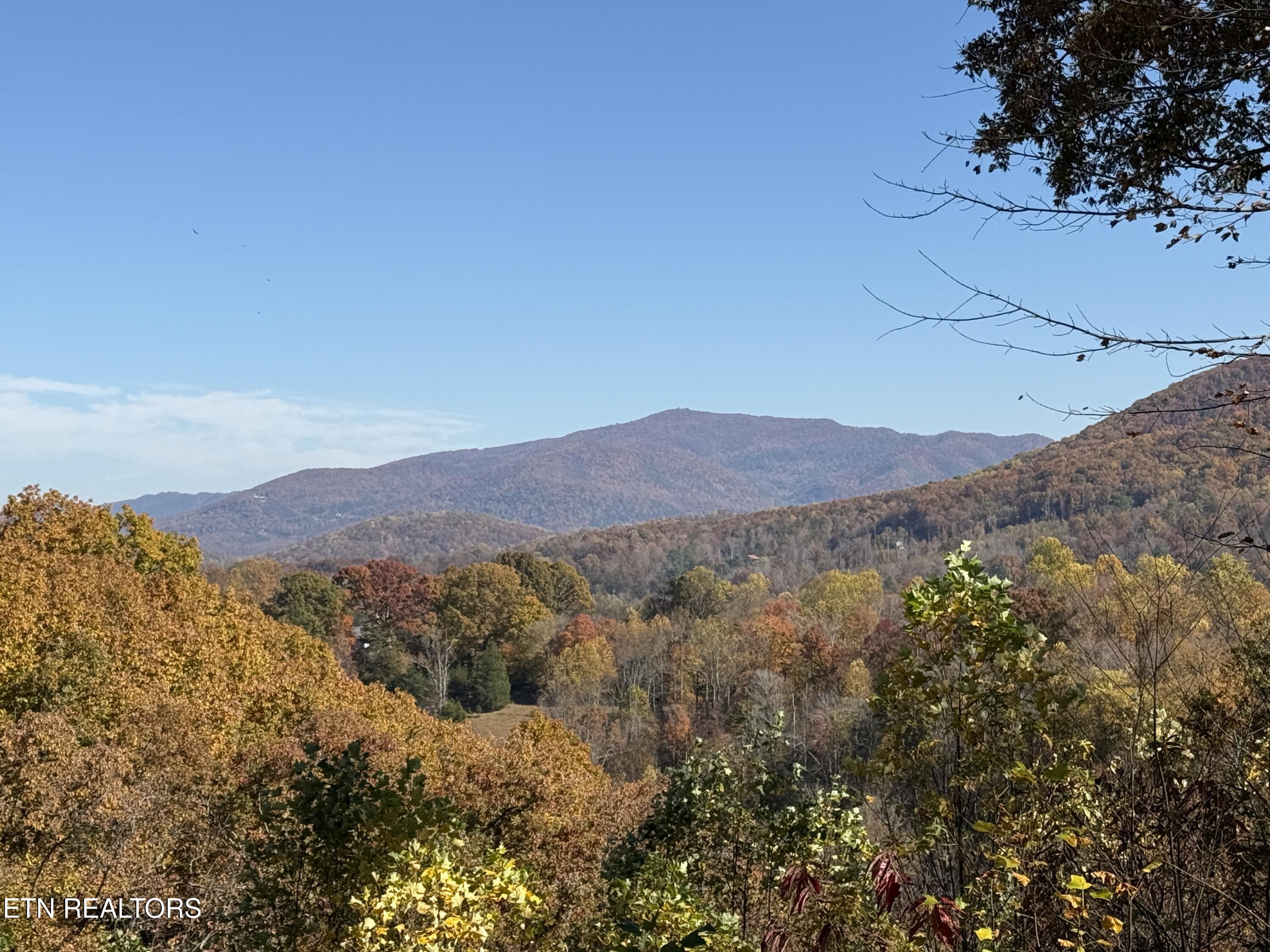 414 Gold Road Cosby TN 37722