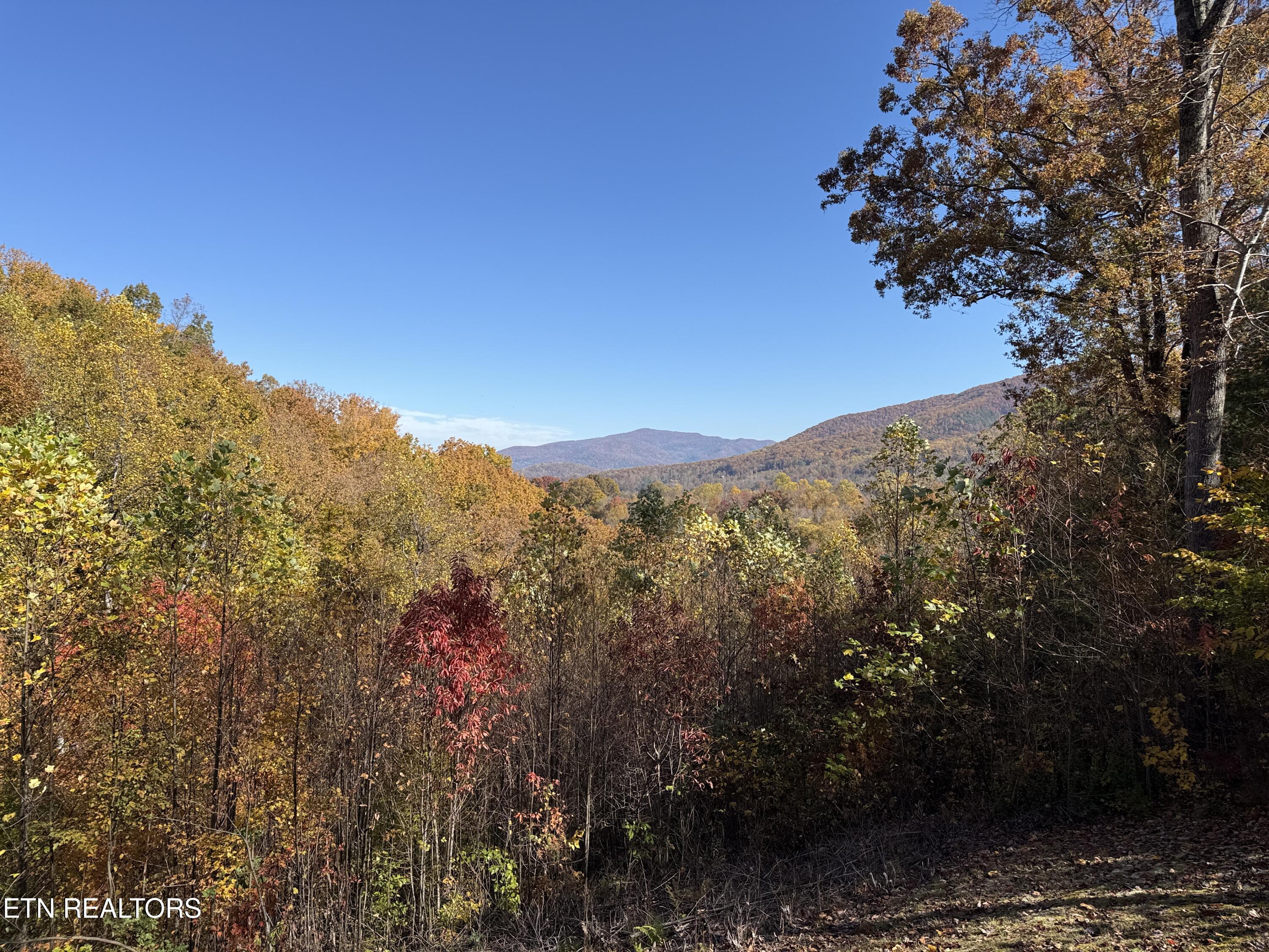 414 Gold Road Cosby TN 37722