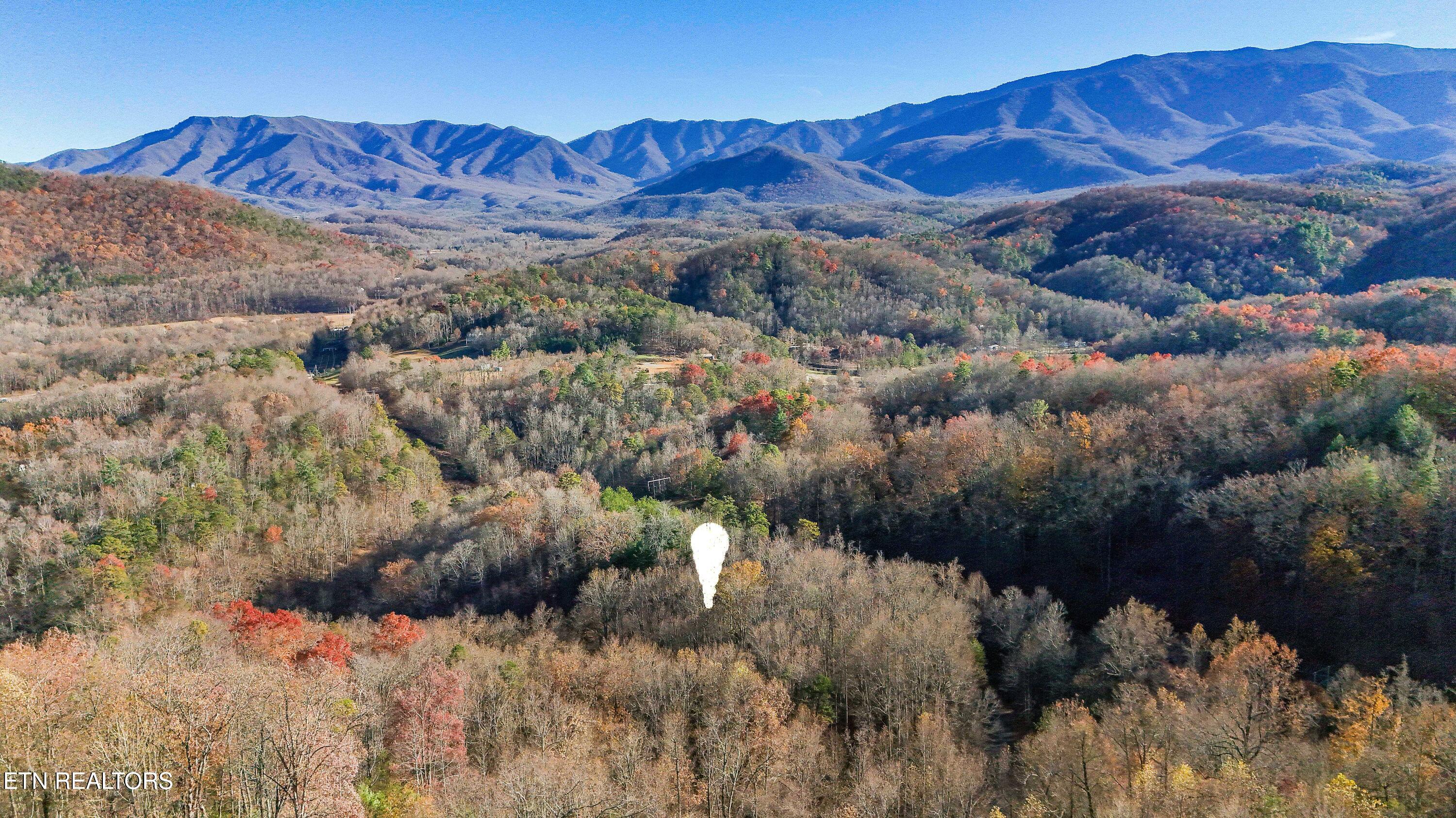 414 Gold Road Cosby TN 37722