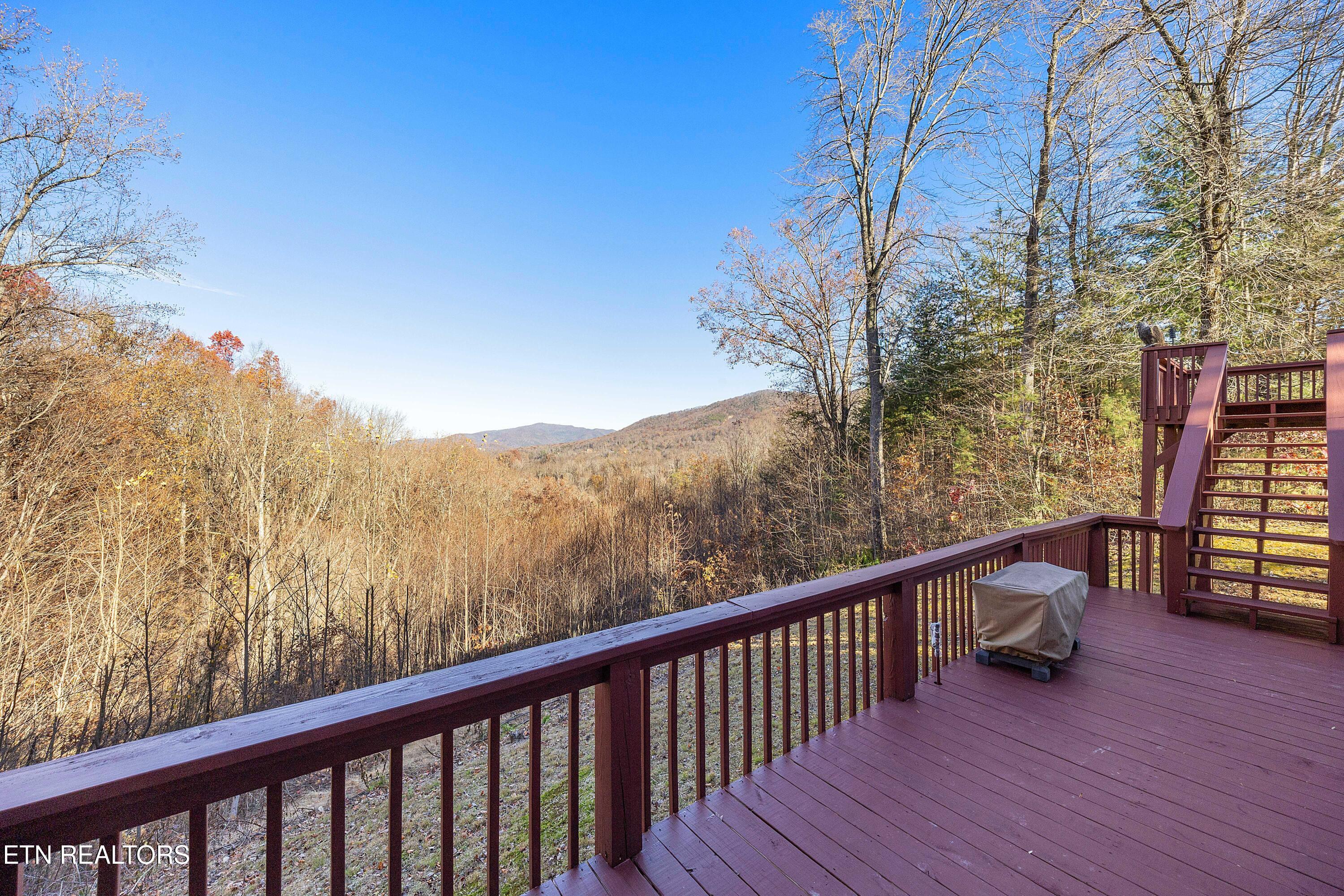 414 Gold Road Cosby TN 37722