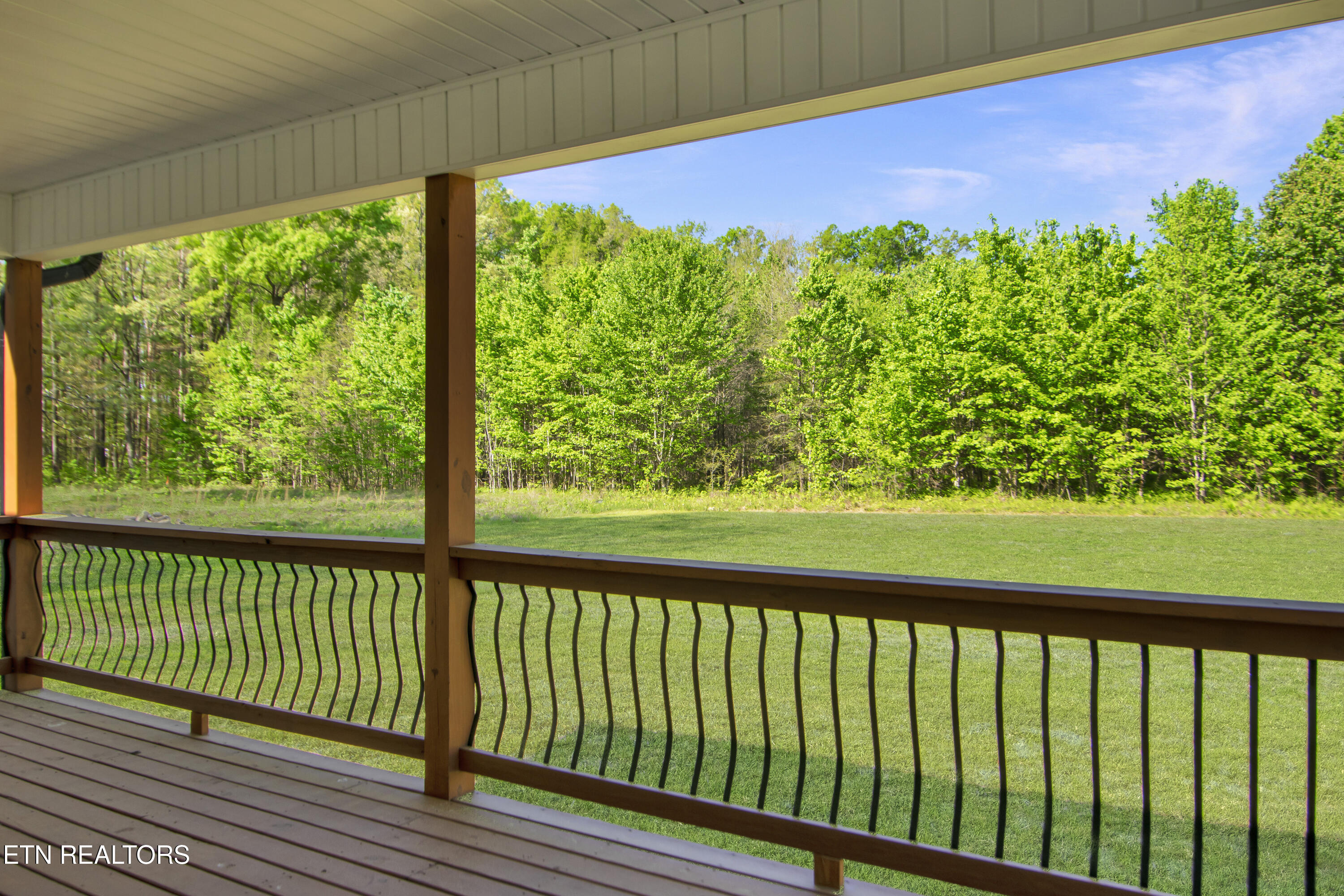 1050 Rachel Drive White Pine TN 37890