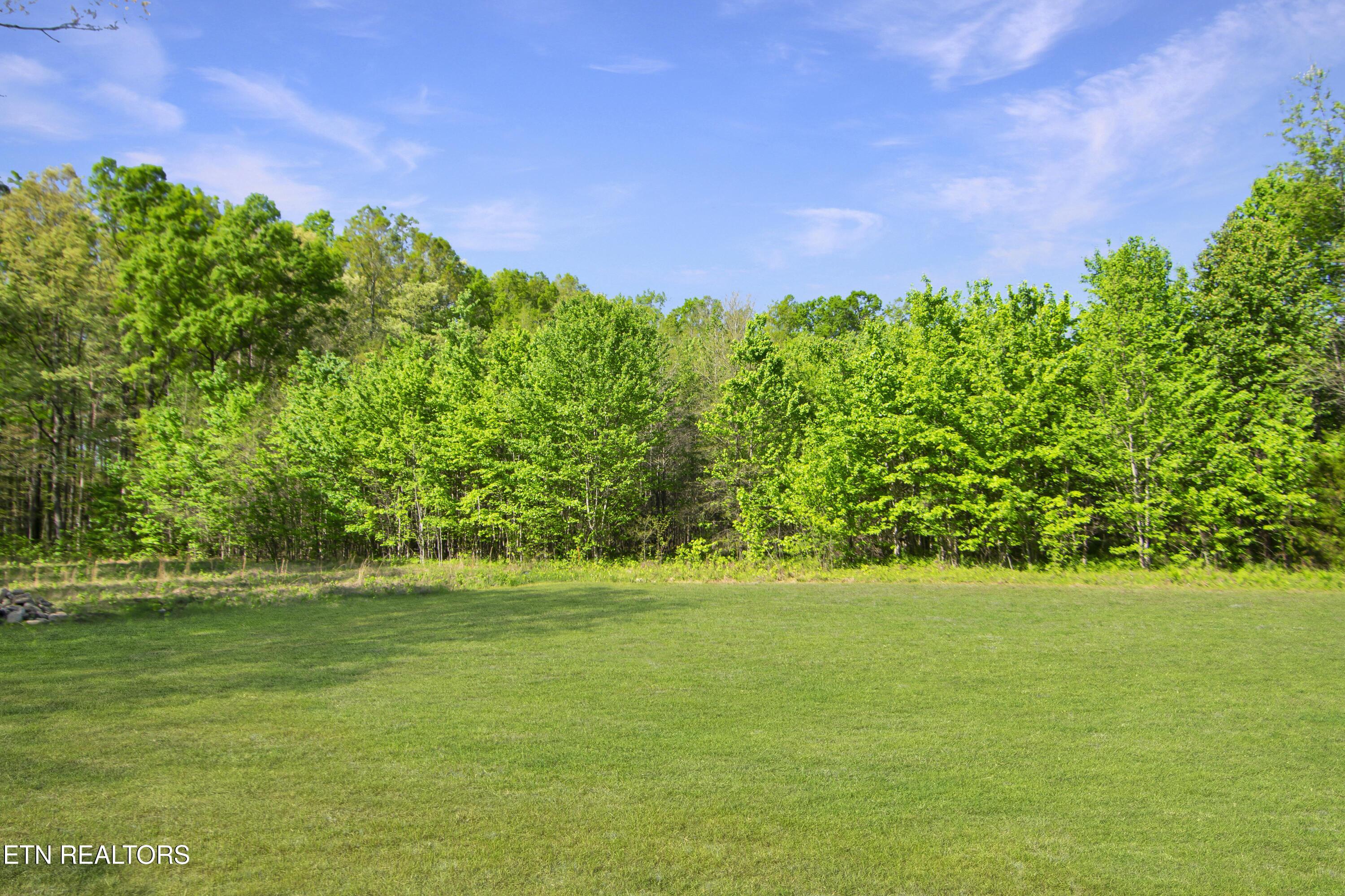 1050 Rachel Drive White Pine TN 37890