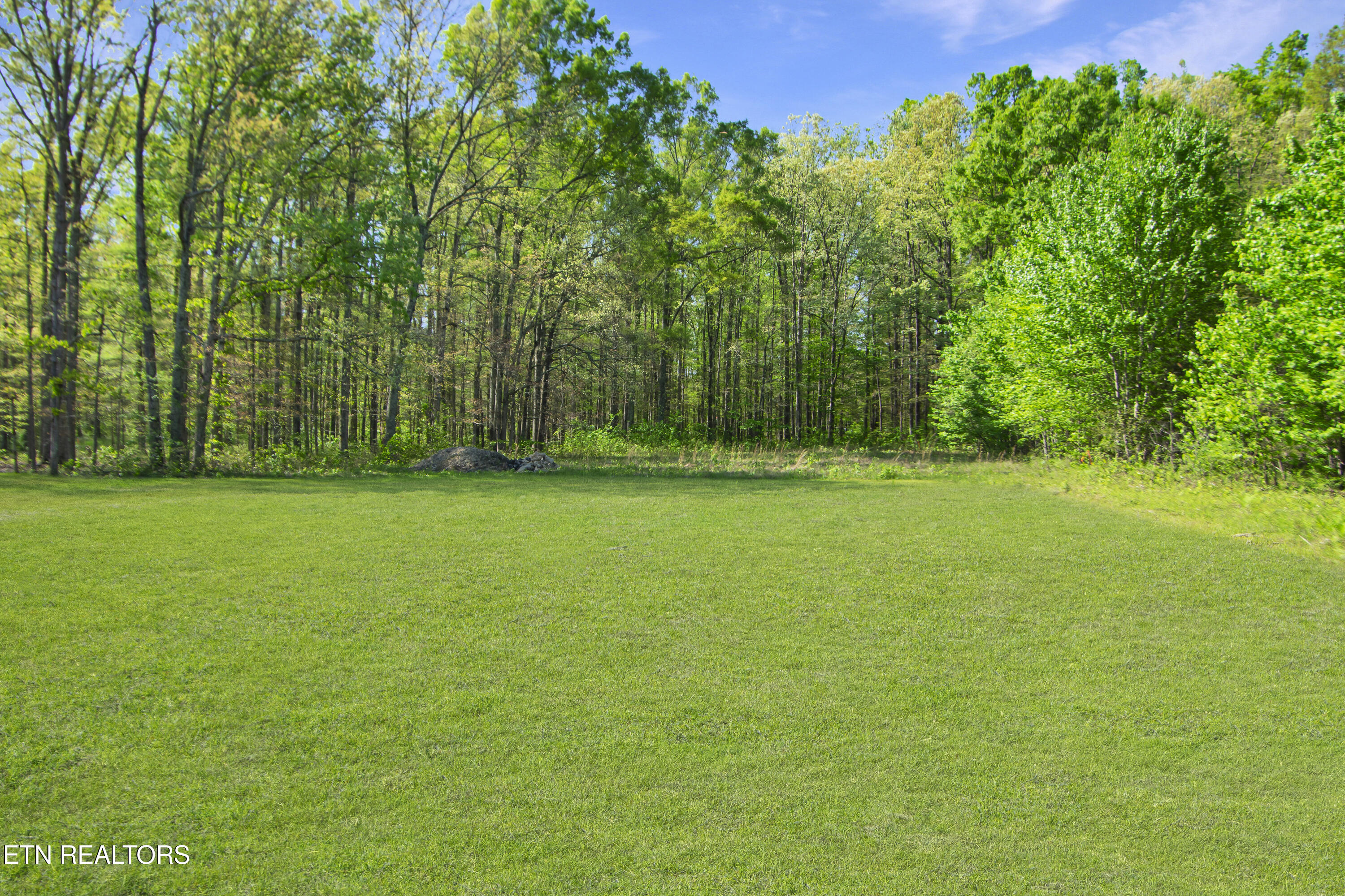 1050 Rachel Drive White Pine TN 37890