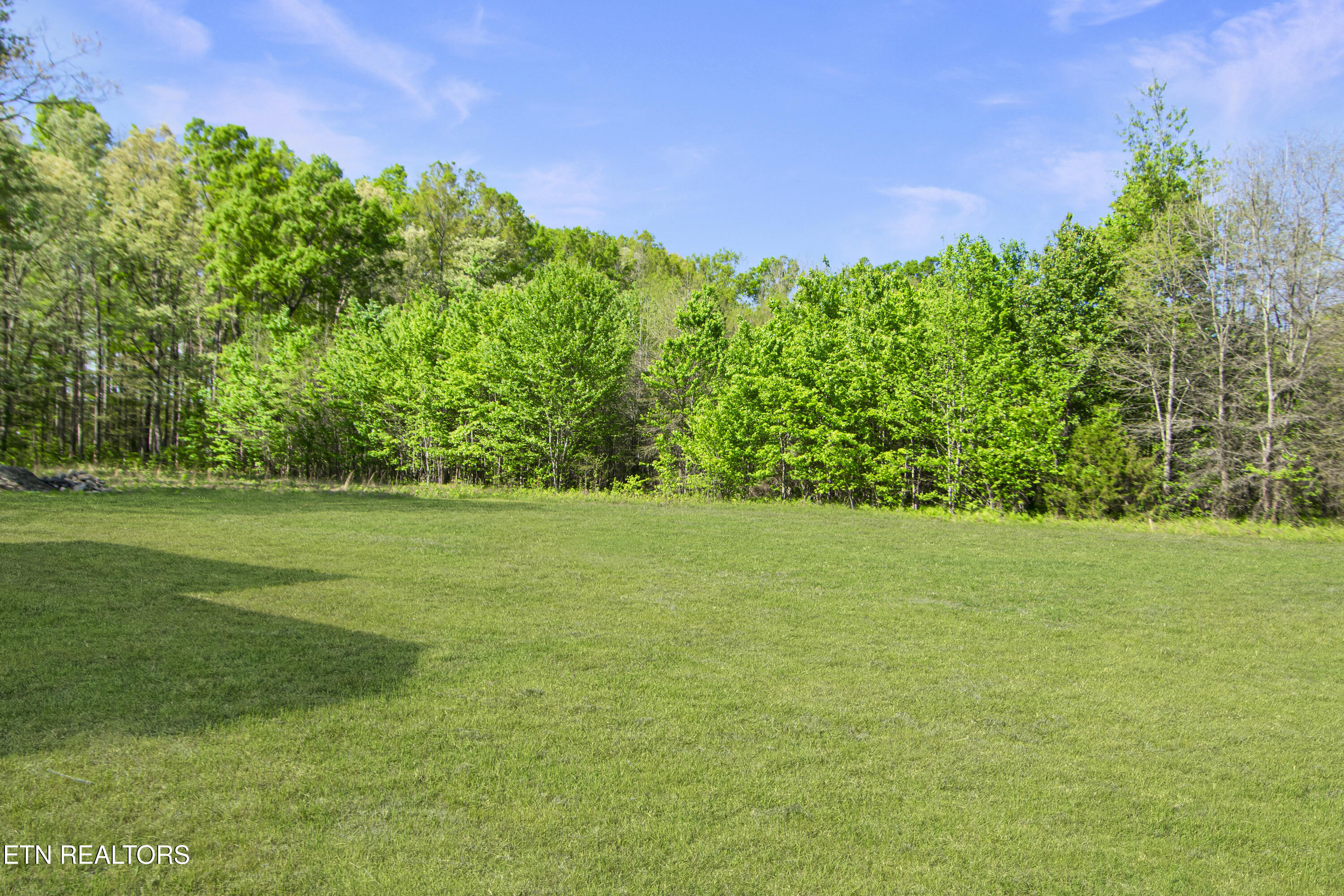 1050 Rachel Drive White Pine TN 37890