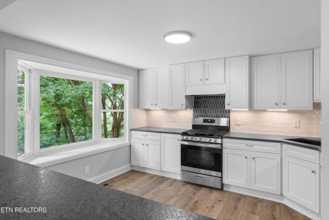 10829 Sonja Drive Knoxville TN 37934